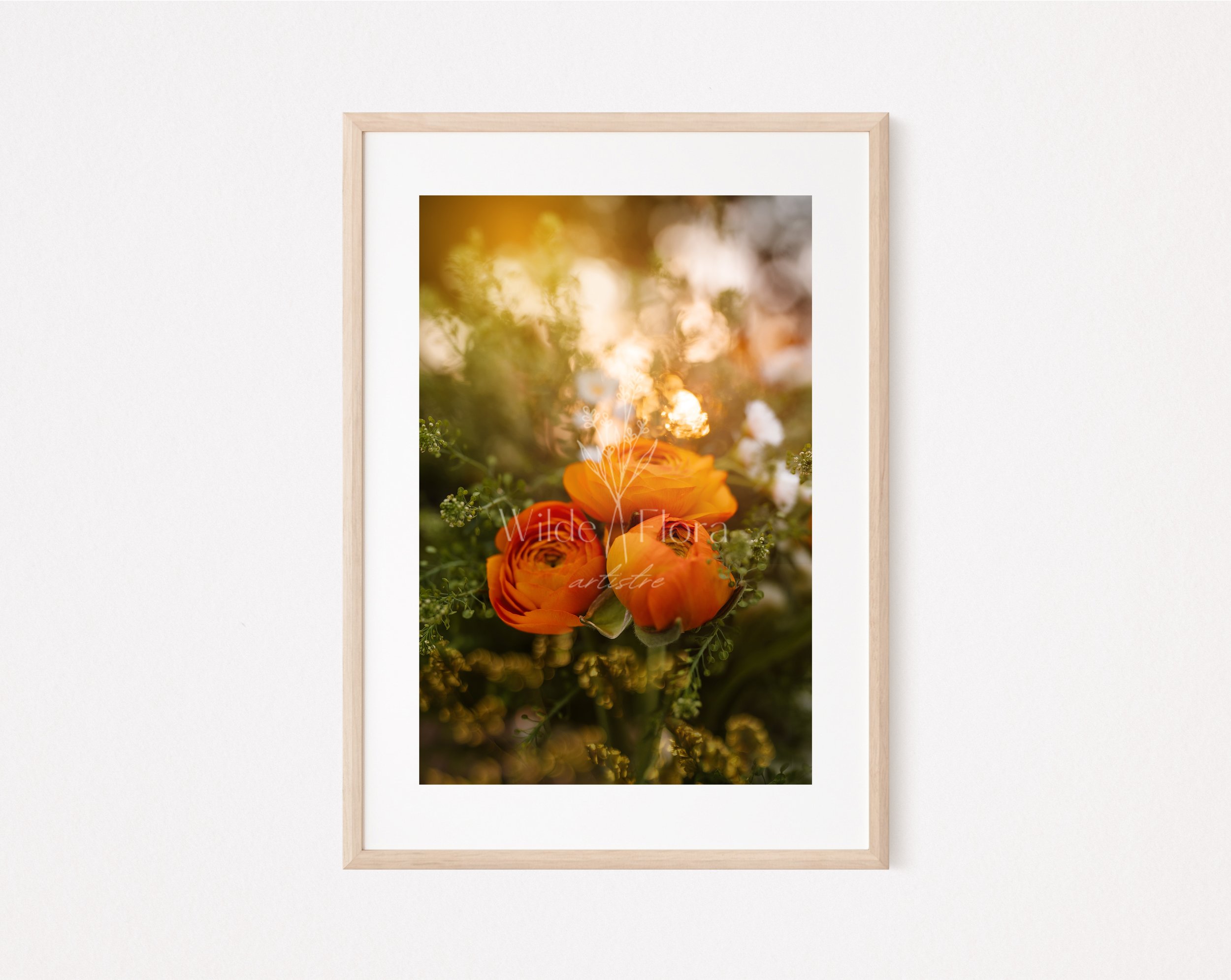 Tangerine Dreams