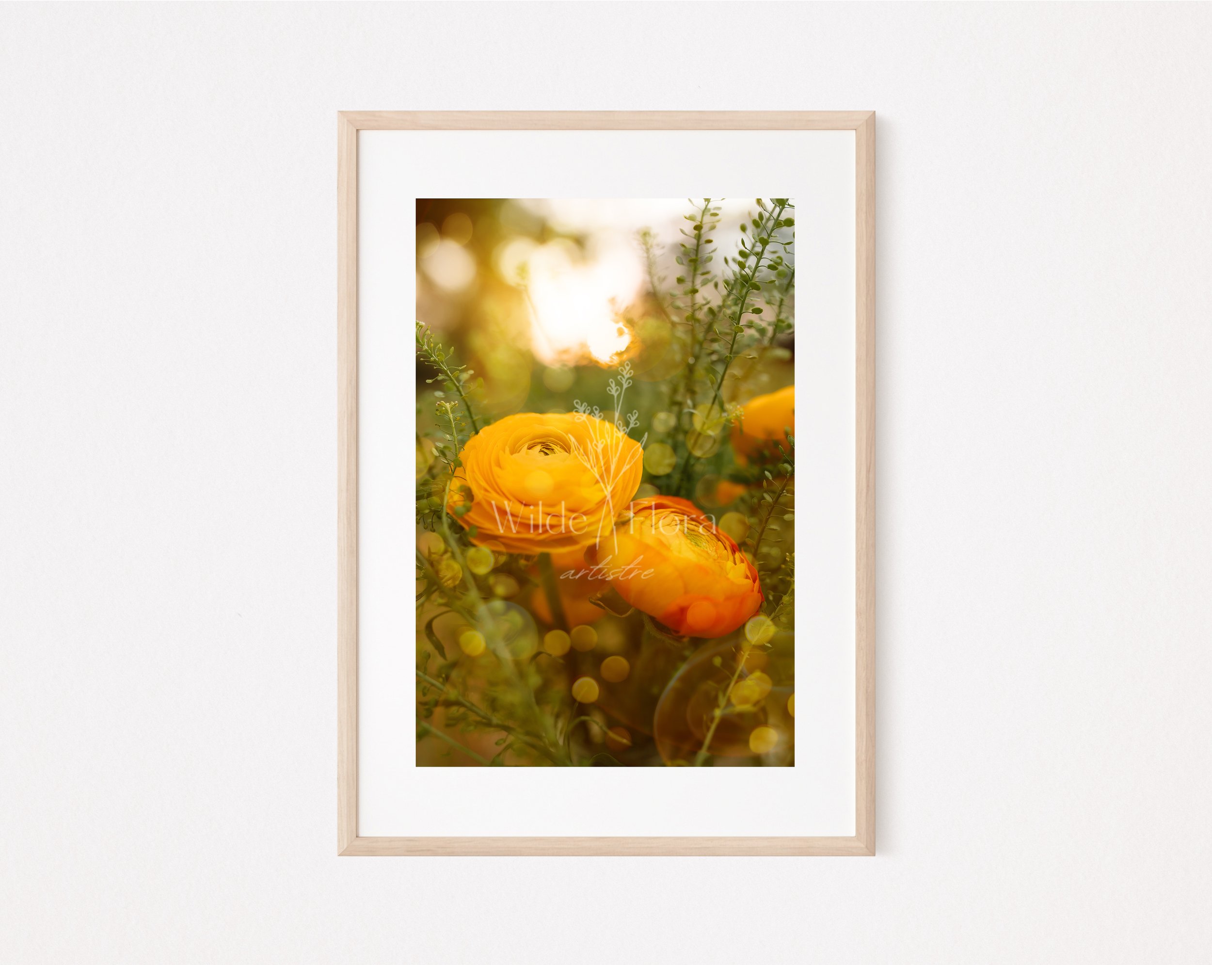 Dreamsicle