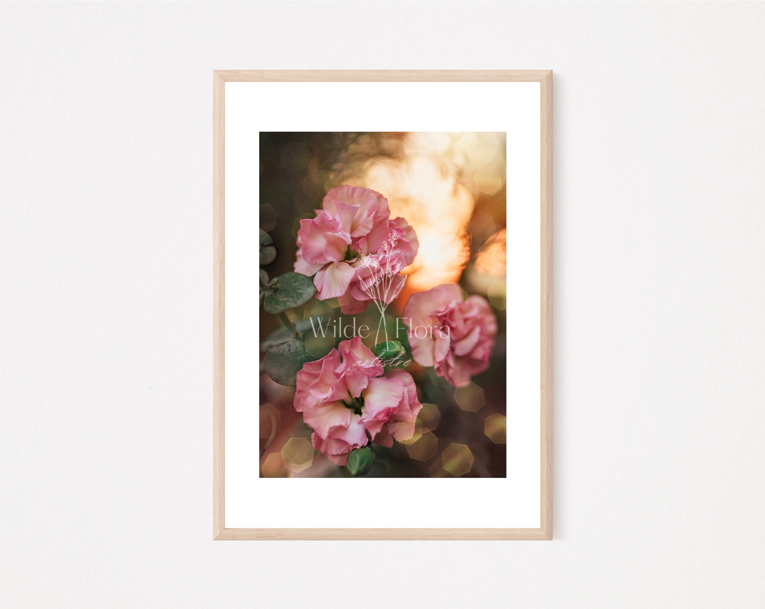 Blushing Eucalyptus - iii
