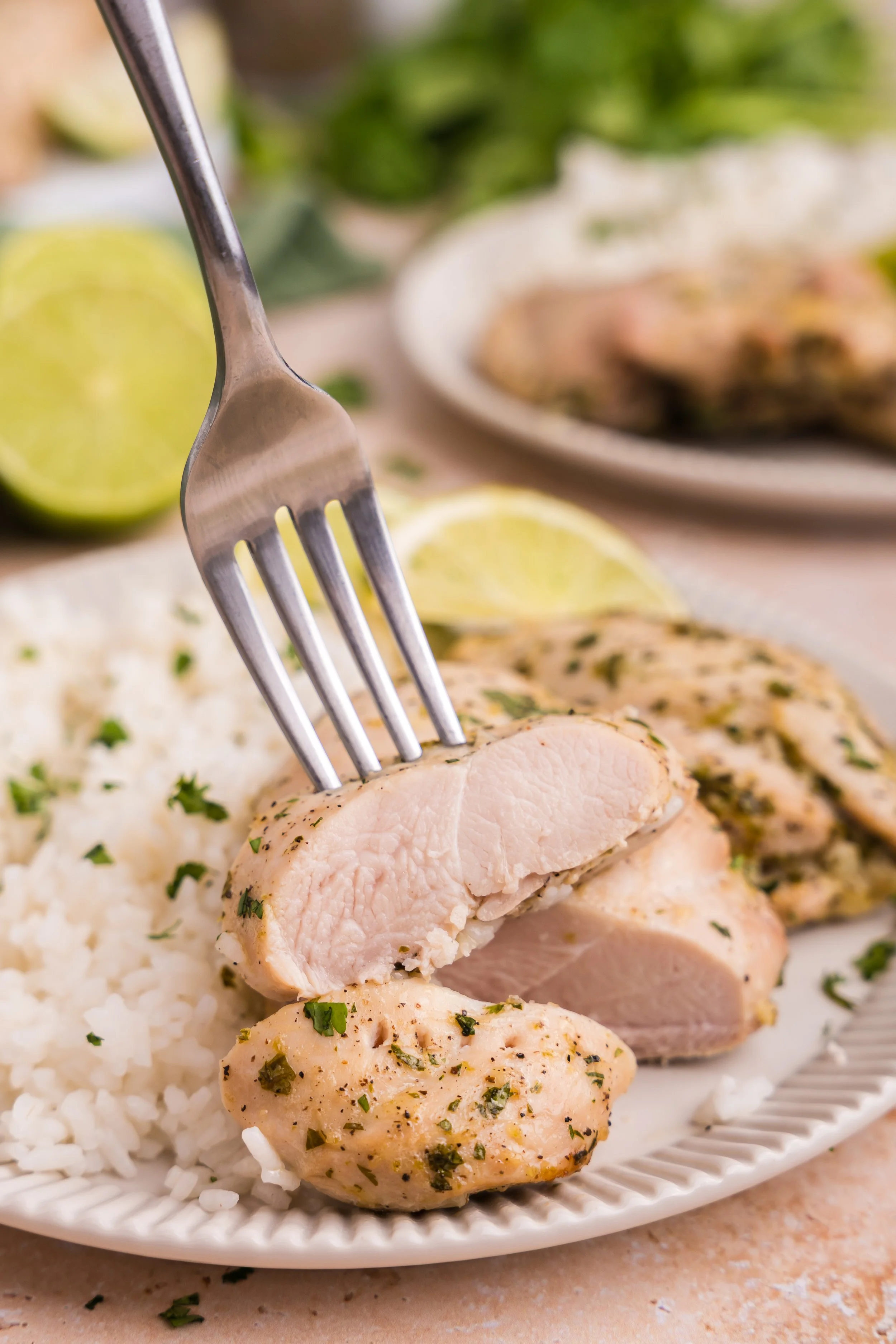 Cilantro Lime Chicken-25.jpg