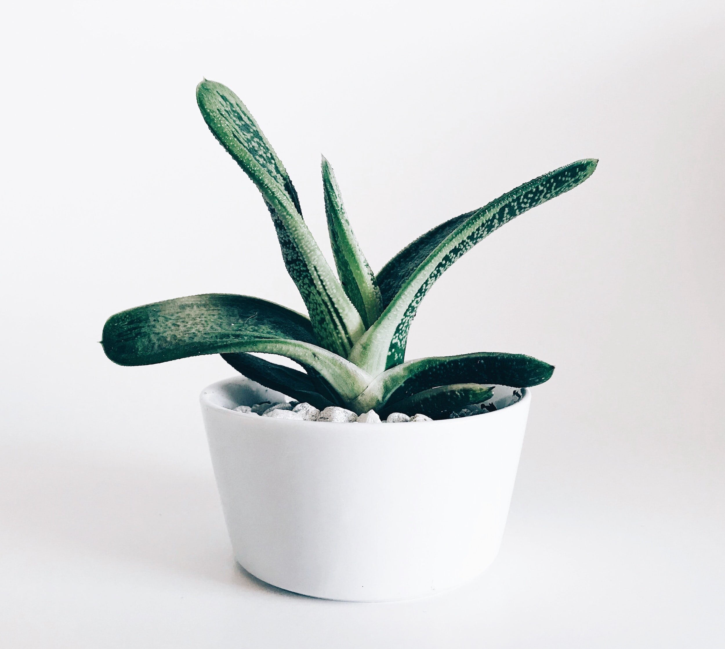 Mindfulness - Begin HERE