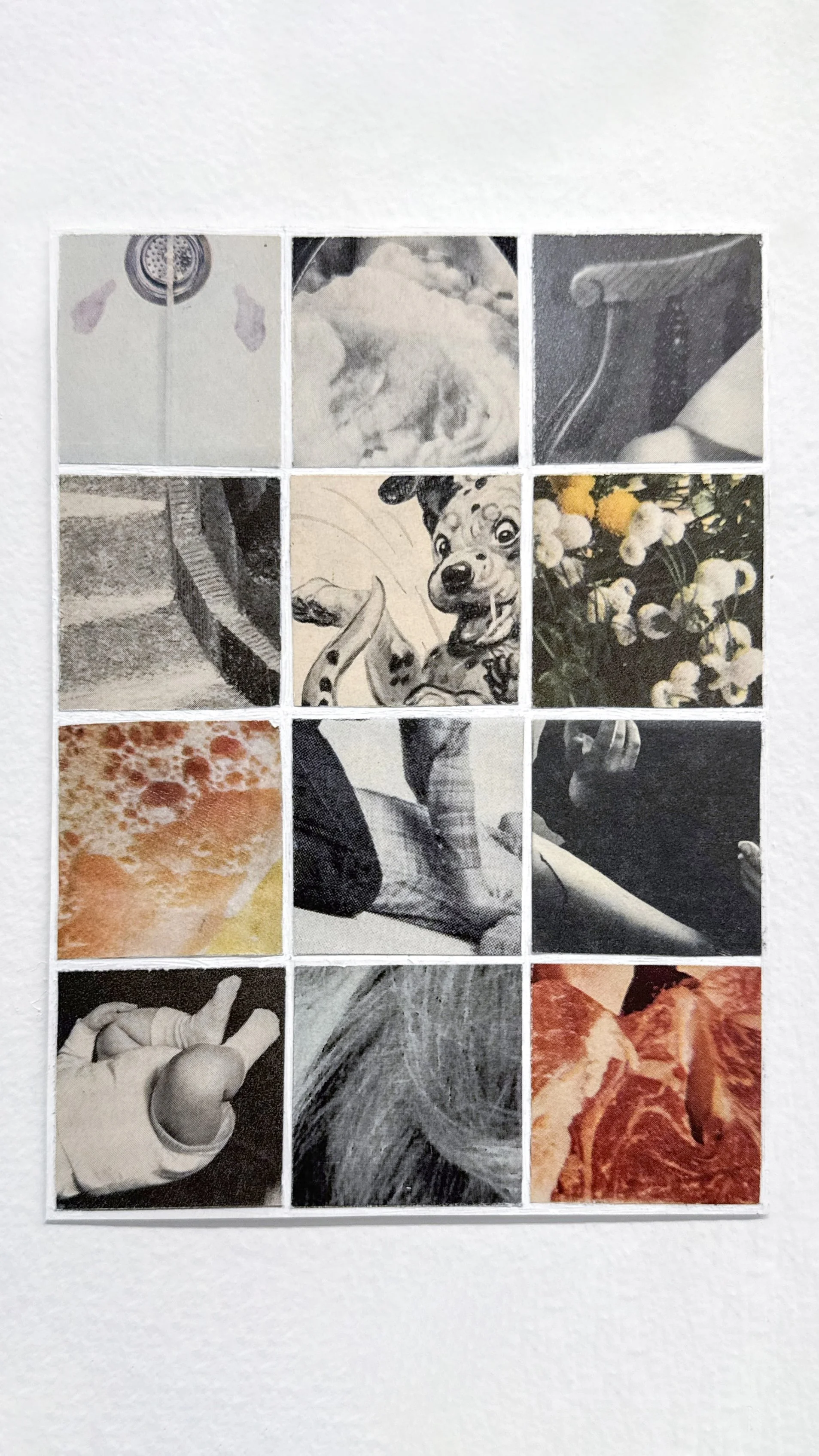 Compositional Study 2