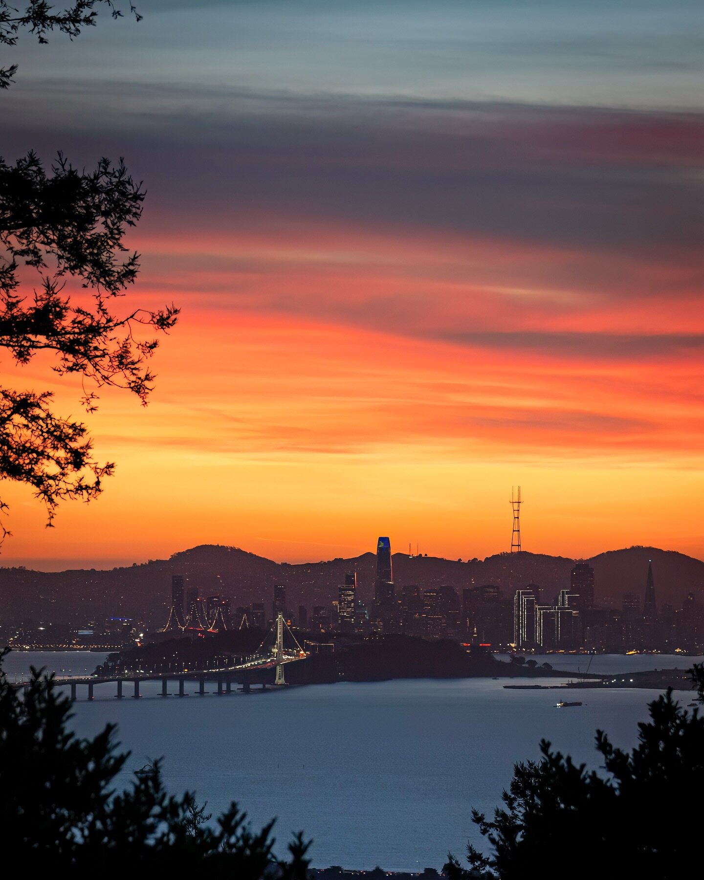 Caught a glimpse of the sunset behind the Bay Bridge in between some trees in the Berkeley hills. These fall sunset colors are pretty magical this time of year. #skyisonfire