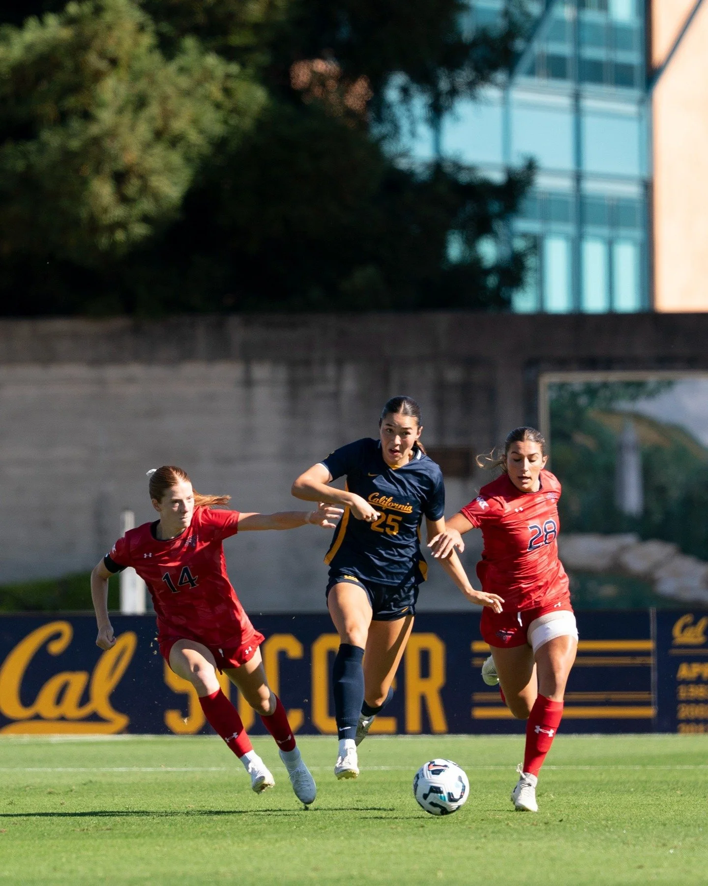@calwsoc vs @smc_wsoccer at Edwards Stadium in Berkeley, California. 

First time using the #sonyalpha 50-150 f/2 GM for soccer and I am liking it a lot. Fast autofocus, sharp across the frame, and versatile. Might be time to sell my primes.

Shot fo