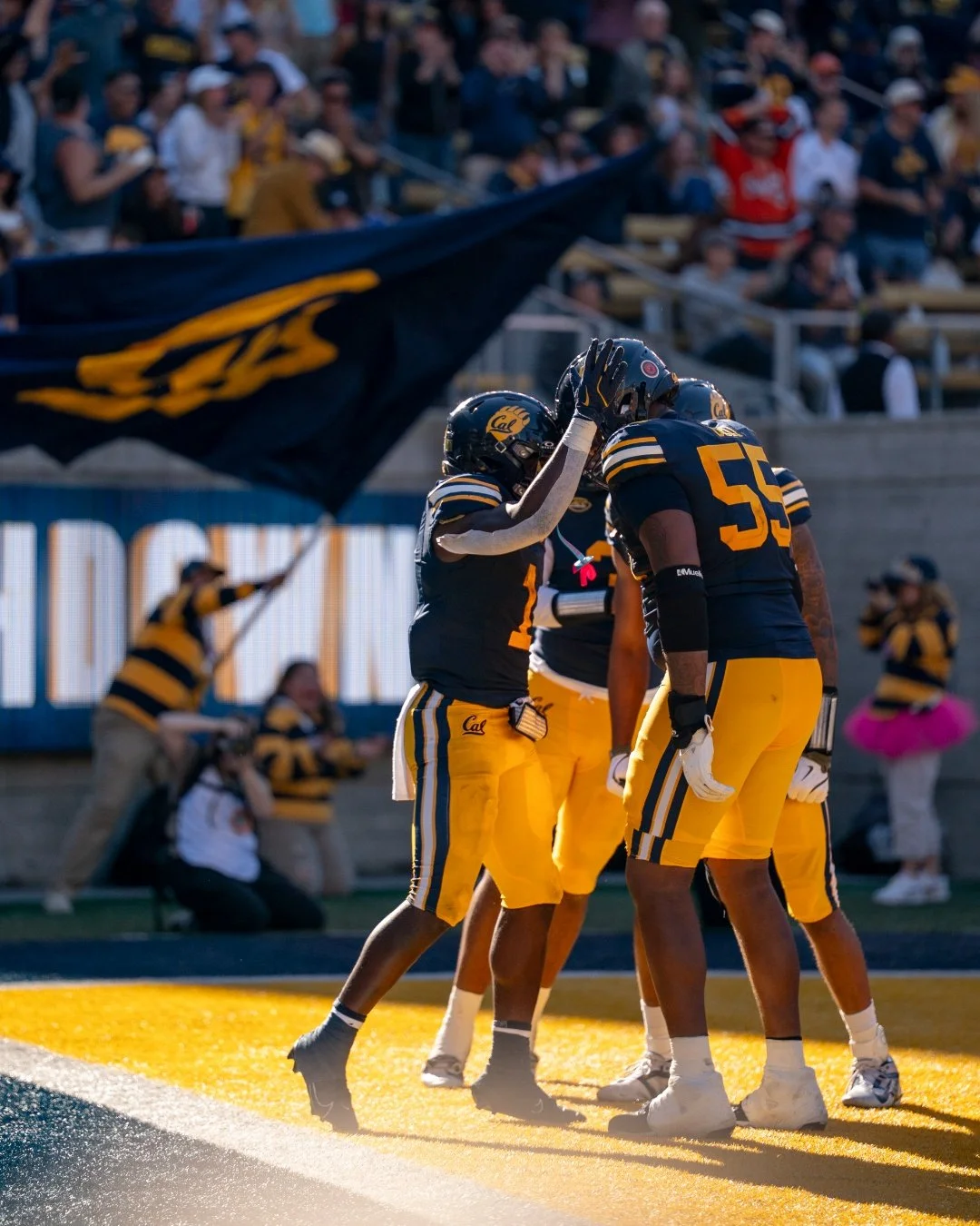 Cal Bears Football vs Virginia Cavaliers at Memorial Stadium in Berkeley, California. Little late posting these but better than never. 

Shot for @cal_football / @klcfotos 

Images made with fototools.app/

Notes to self:
- Eat more food before the g