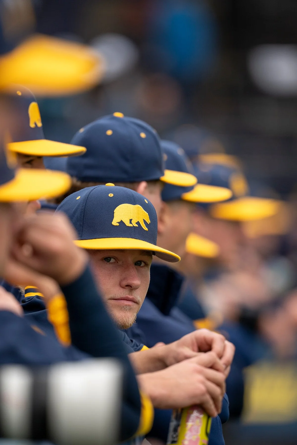 20250207-AHong-Cal MBASE vs Nevada-108529.jpg