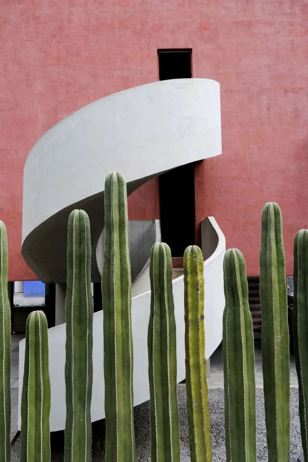 Cactus and Concrete, Diego &amp; Frida’s Home-Studio