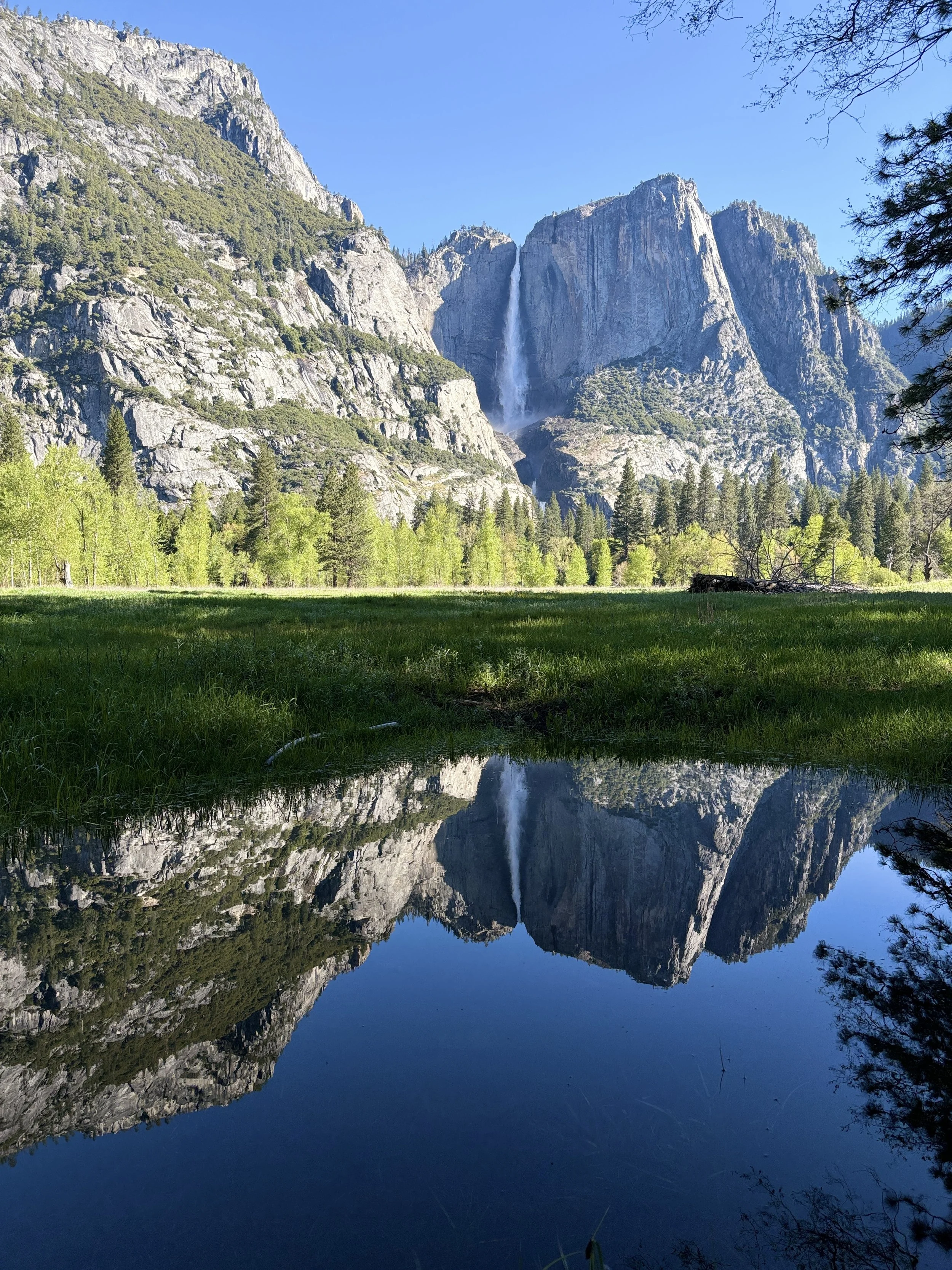 Yosemite Falls Reflection