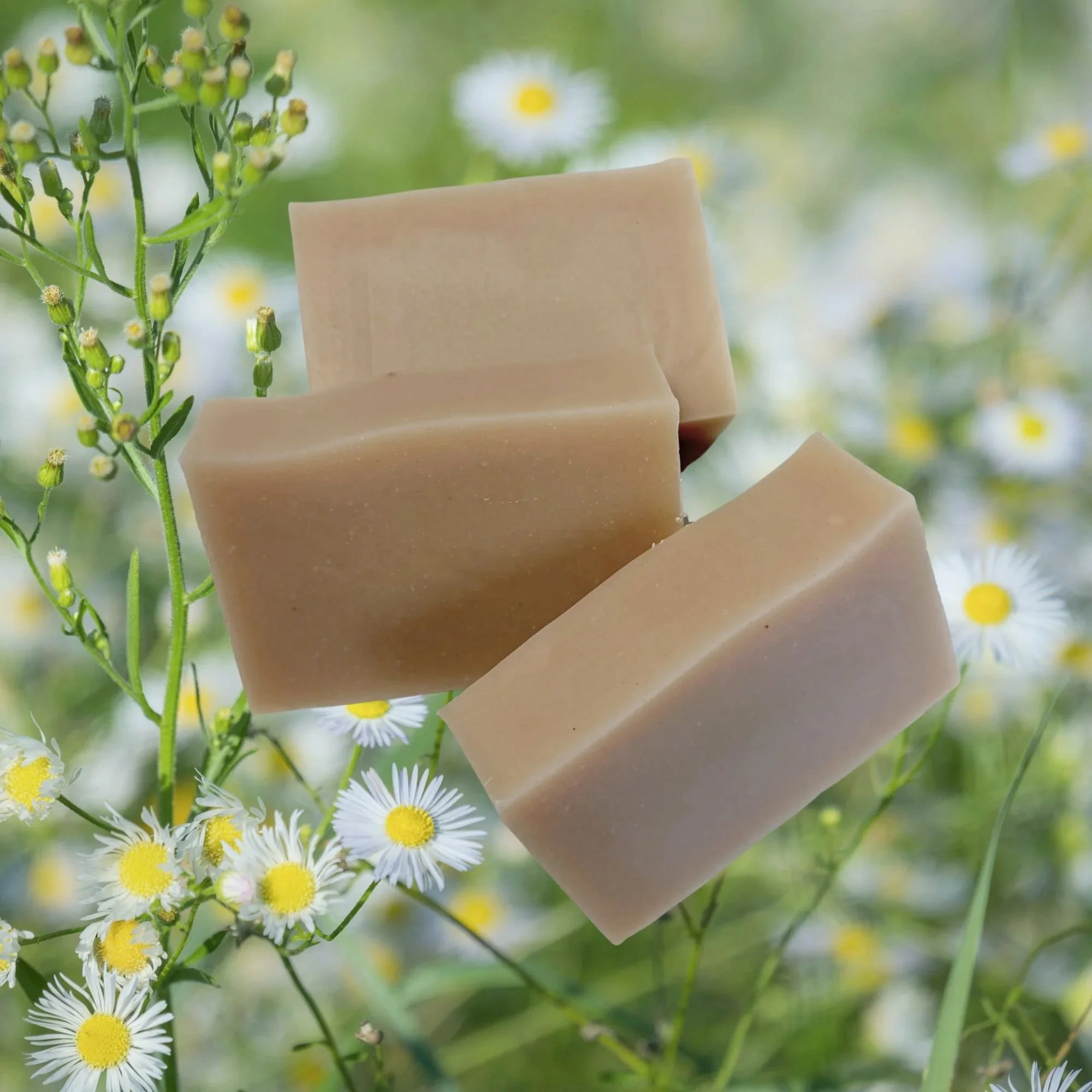 wildflowers+soap+background.jpg