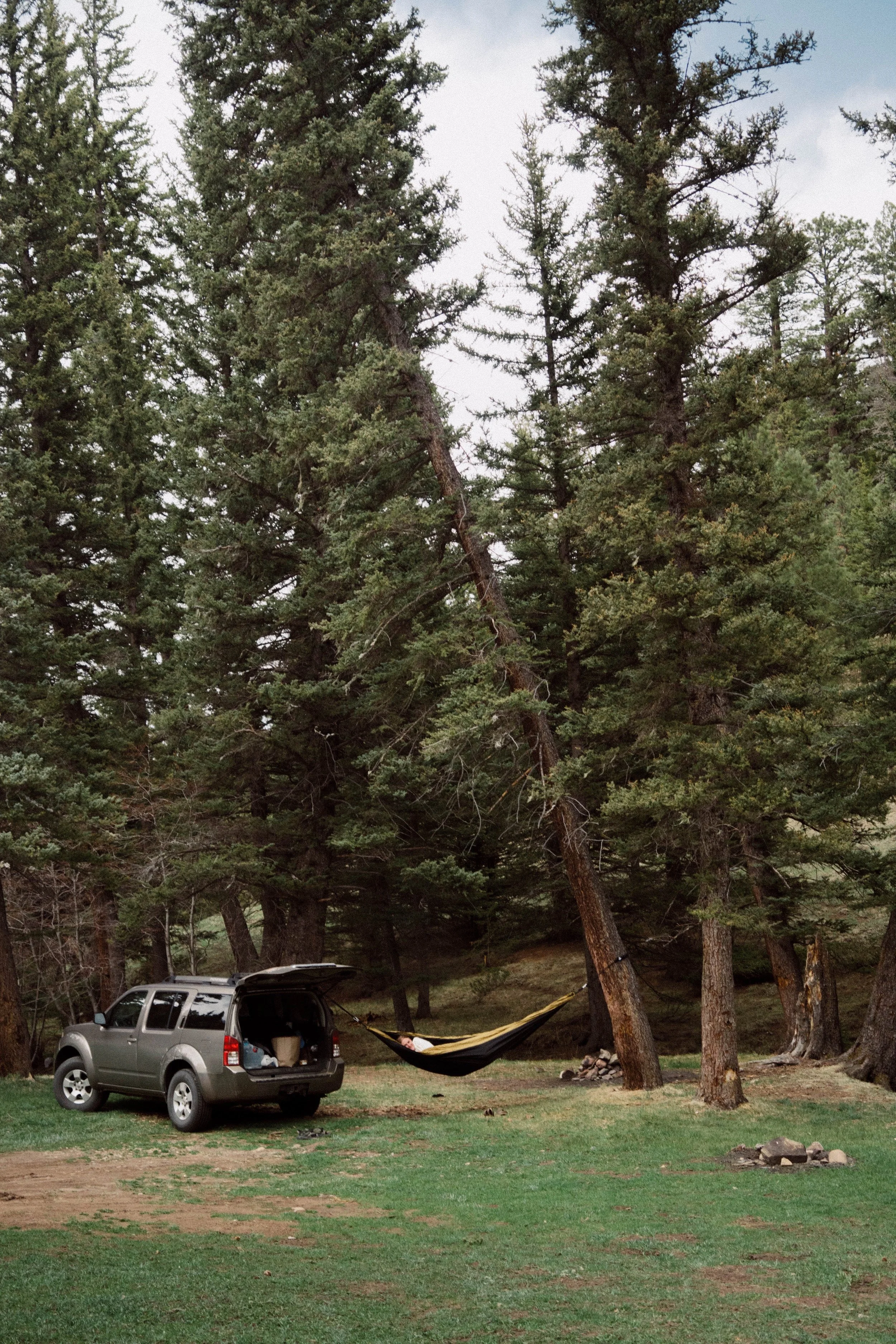 _DSC9274.jpeg
