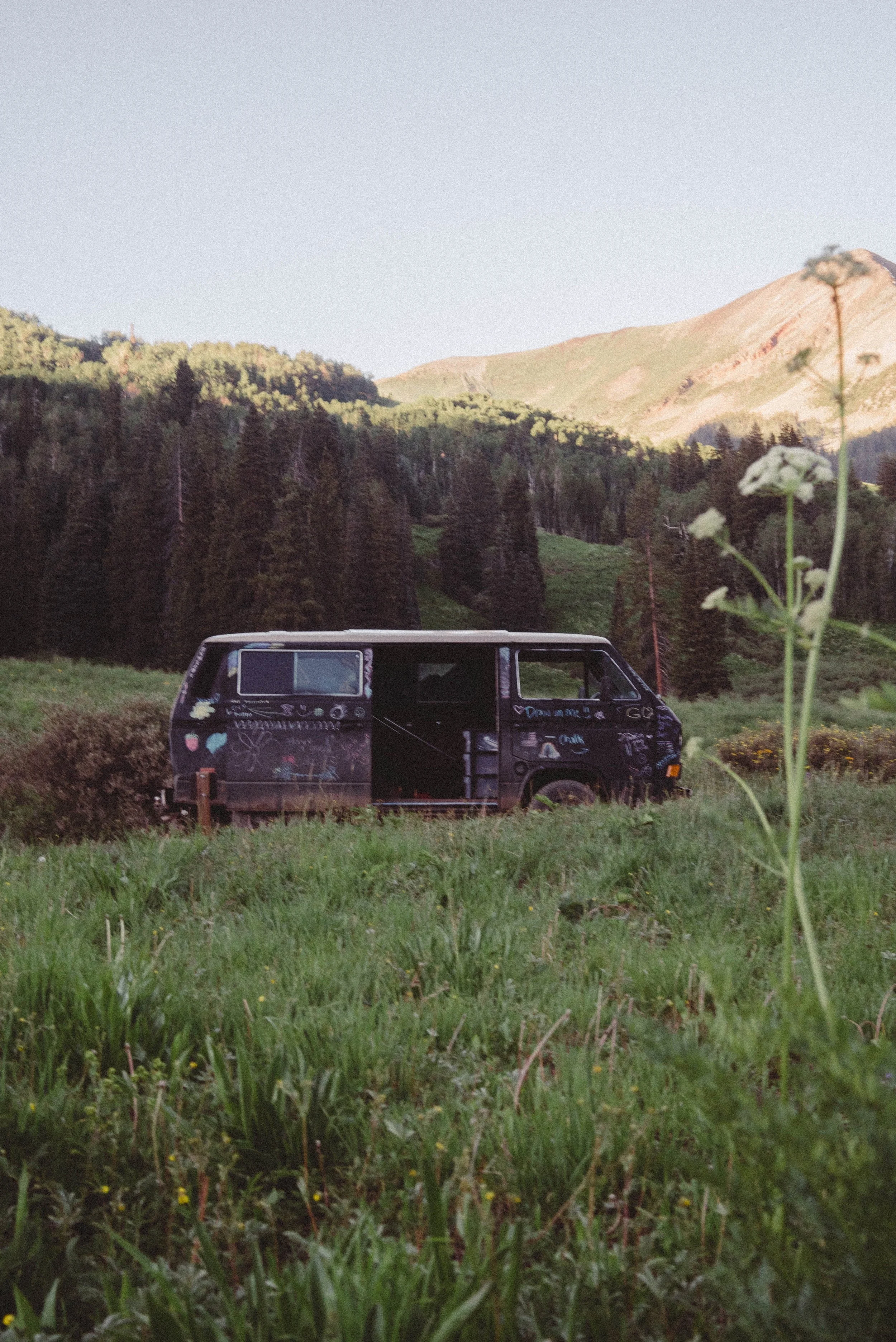 _DSC9808.jpeg