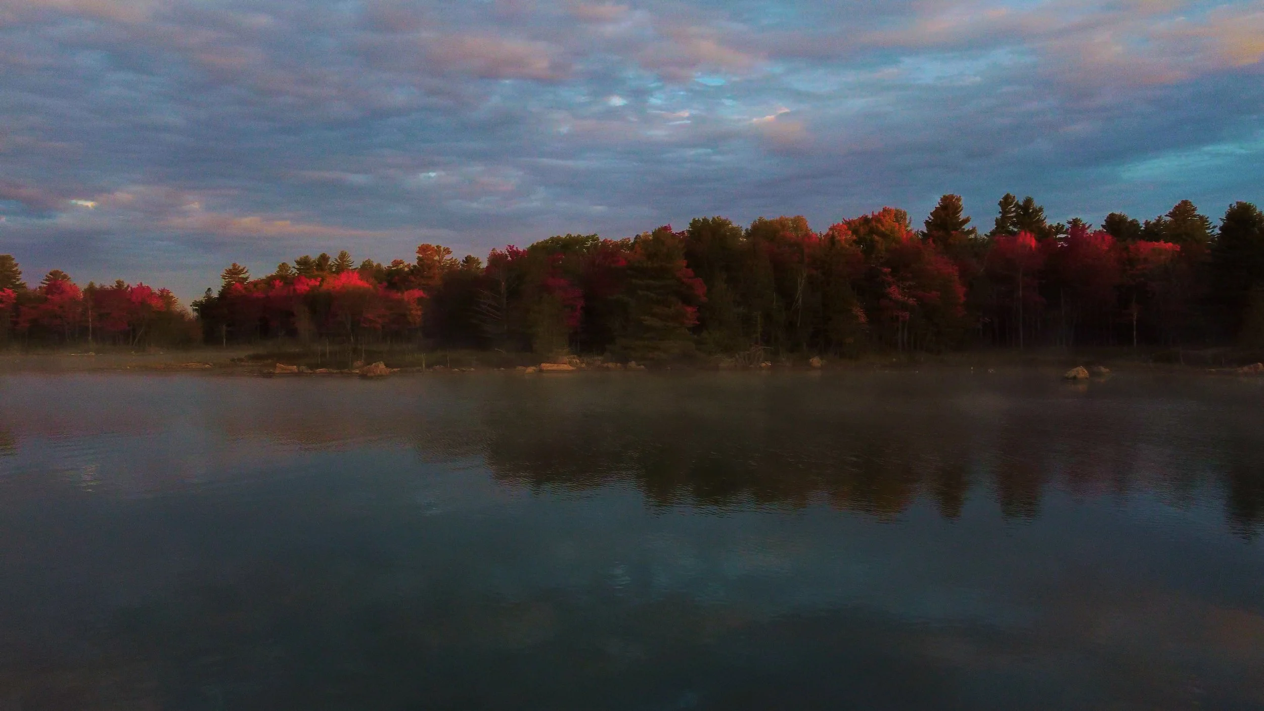 DJI_0203.00_01_08_21.Still007.jpg
