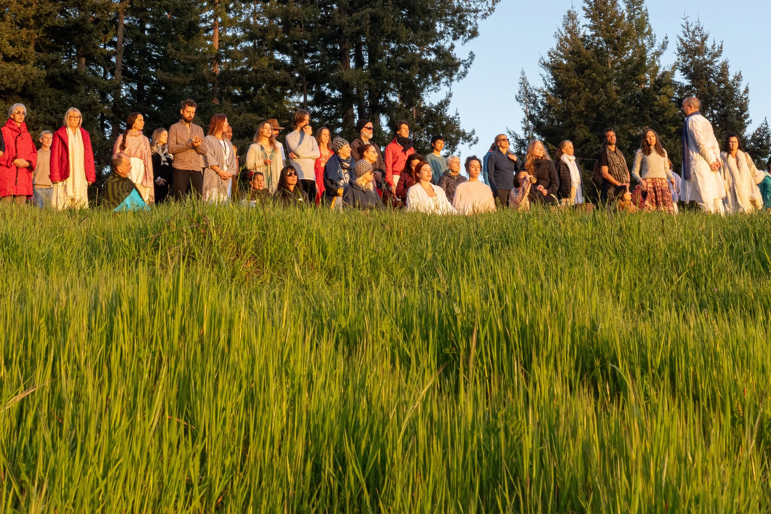 Mount Madonna 2025-7.jpg