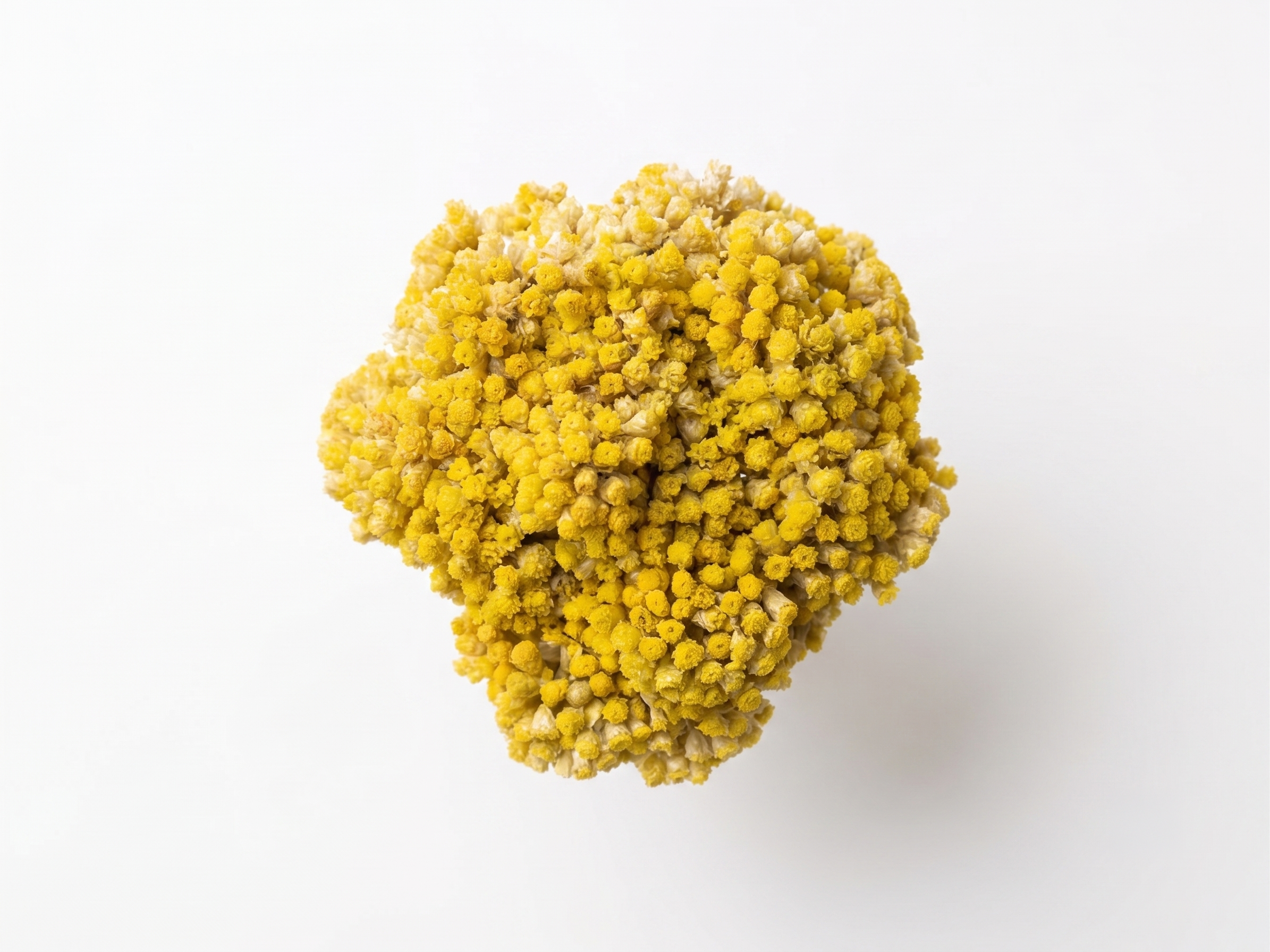 bouquet-immortelle-bio-vue-enhaut.png