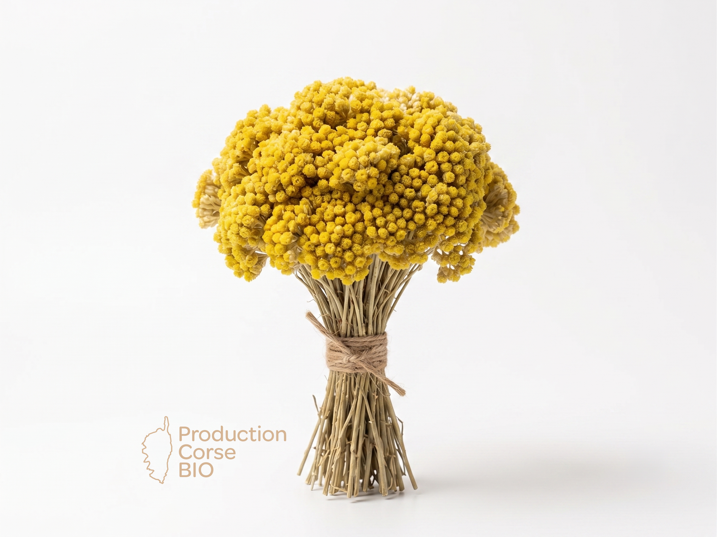 bouquet-immortelle-bio.png