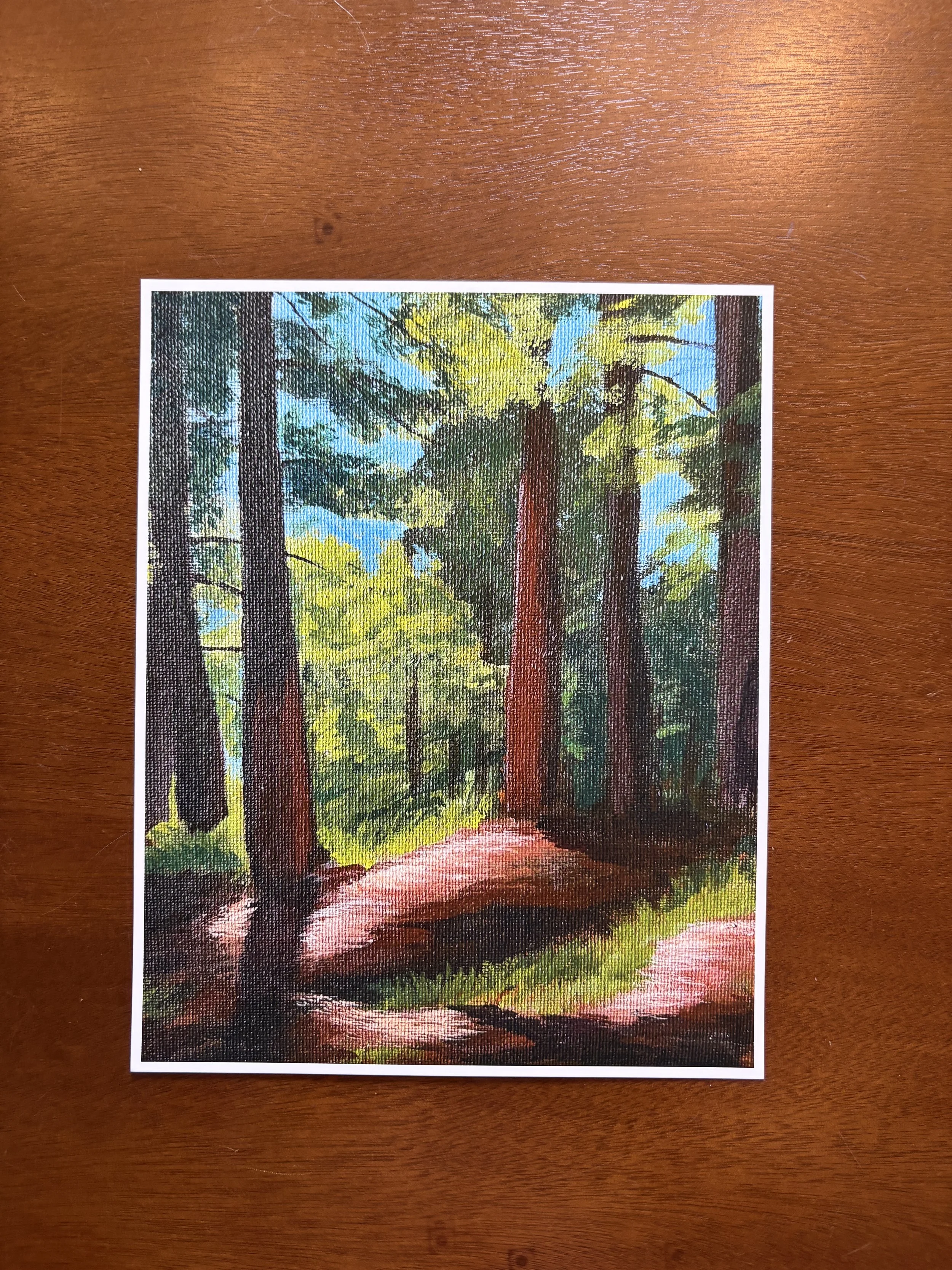 Light on the Forest Floor Print (8x10")