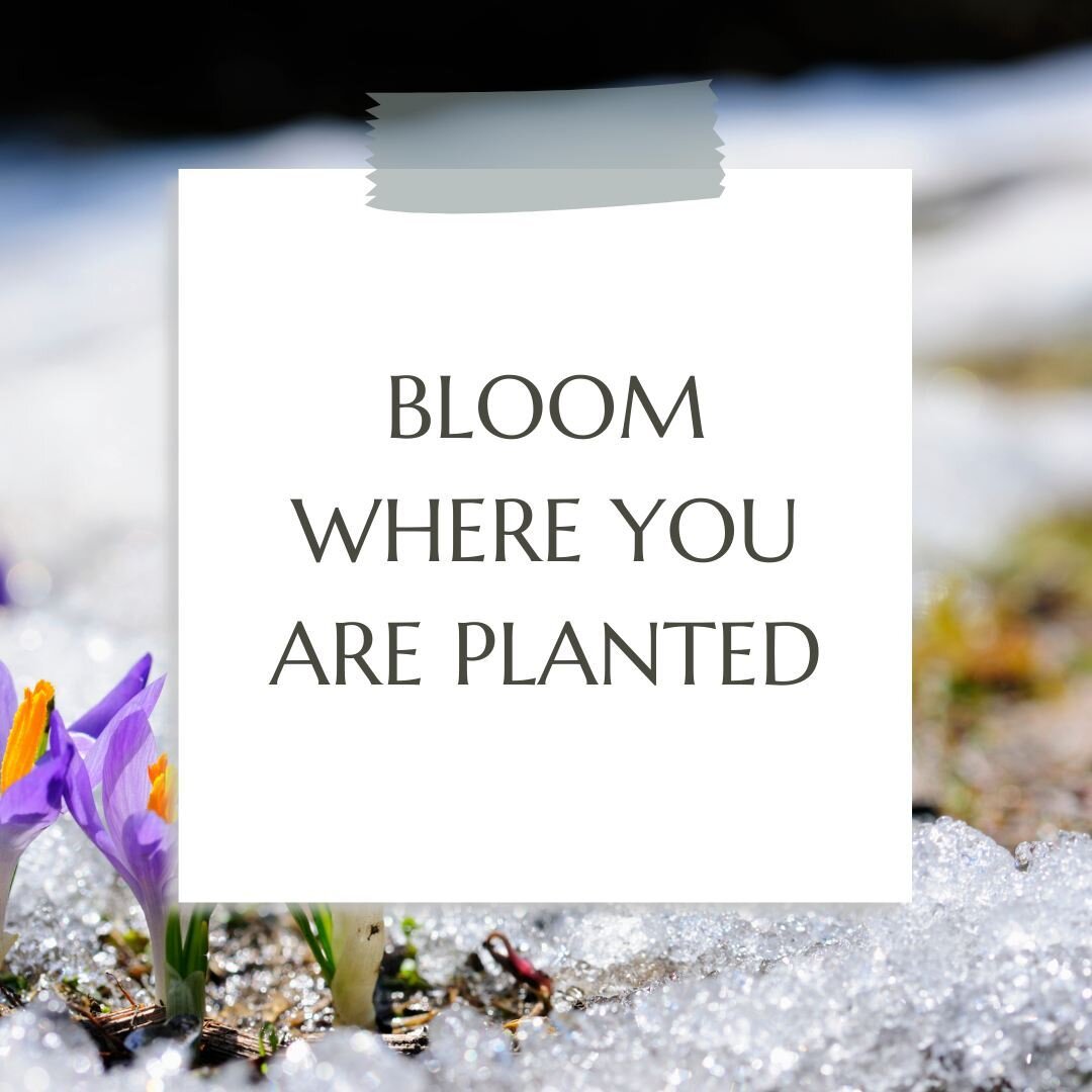 You are exactly where you need to be in your business.  Grow from where you are to where you want to be. #VirtualAssistant #RemoteWork #TimeManagement