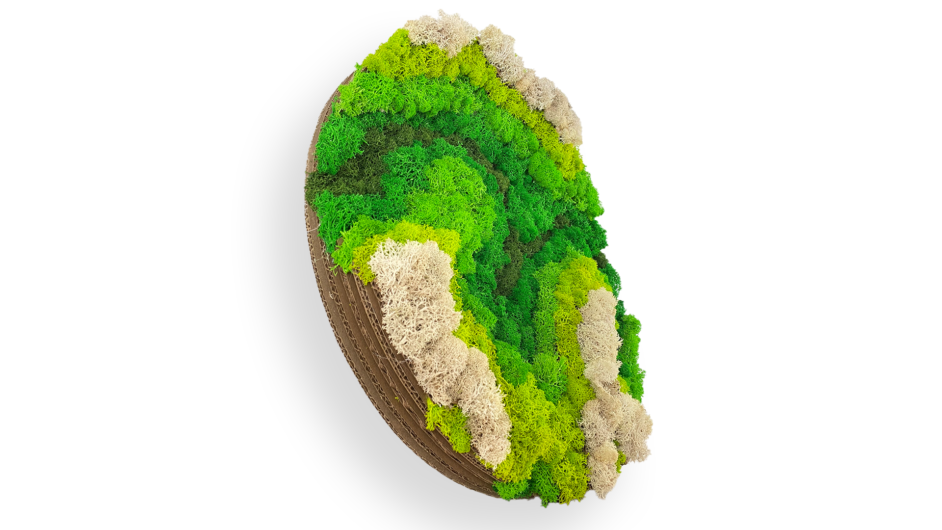 Moss Topo_Side Angle.png