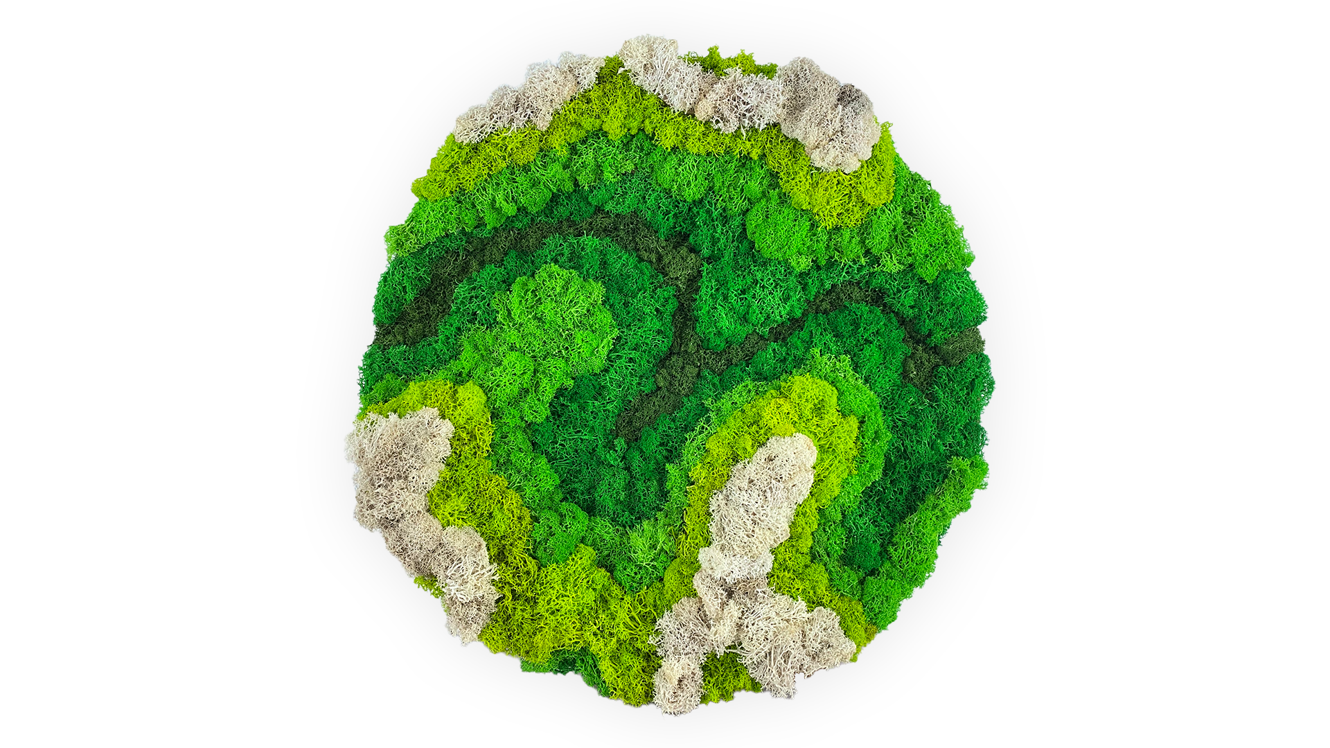 Moss Topo_Front.png