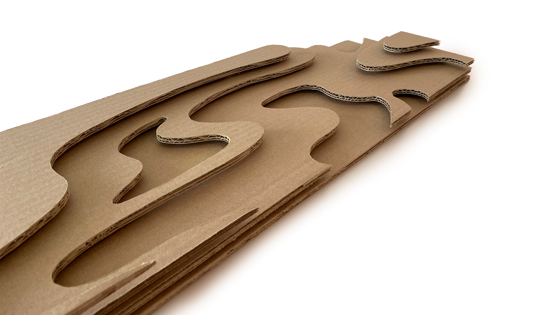 Rectangle Topo 2_Detail.png