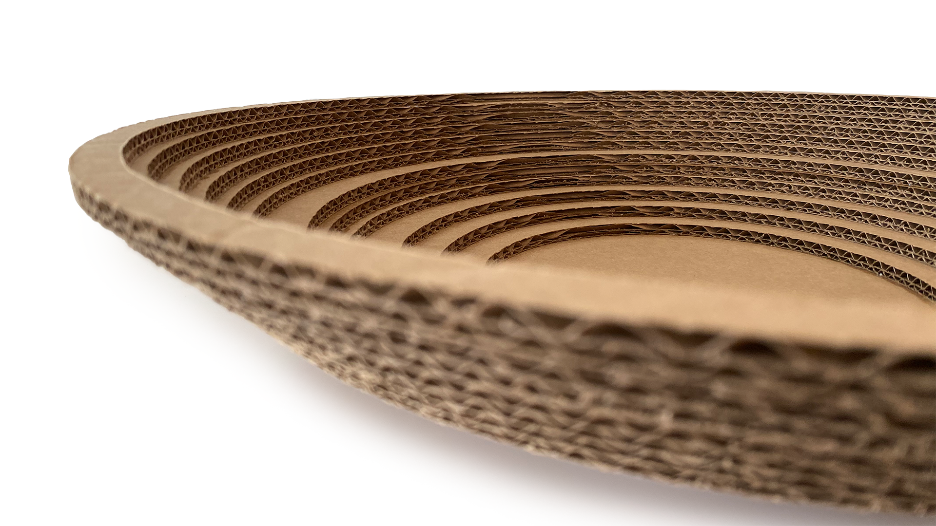 Cardboard Bowl