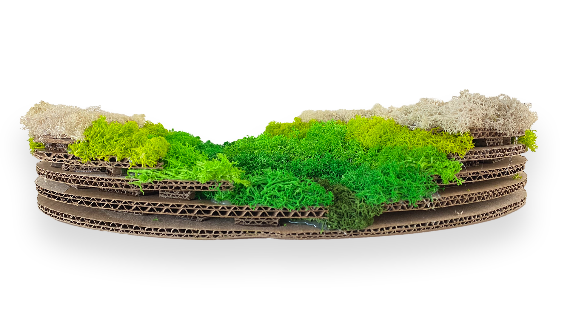 Moss Topography