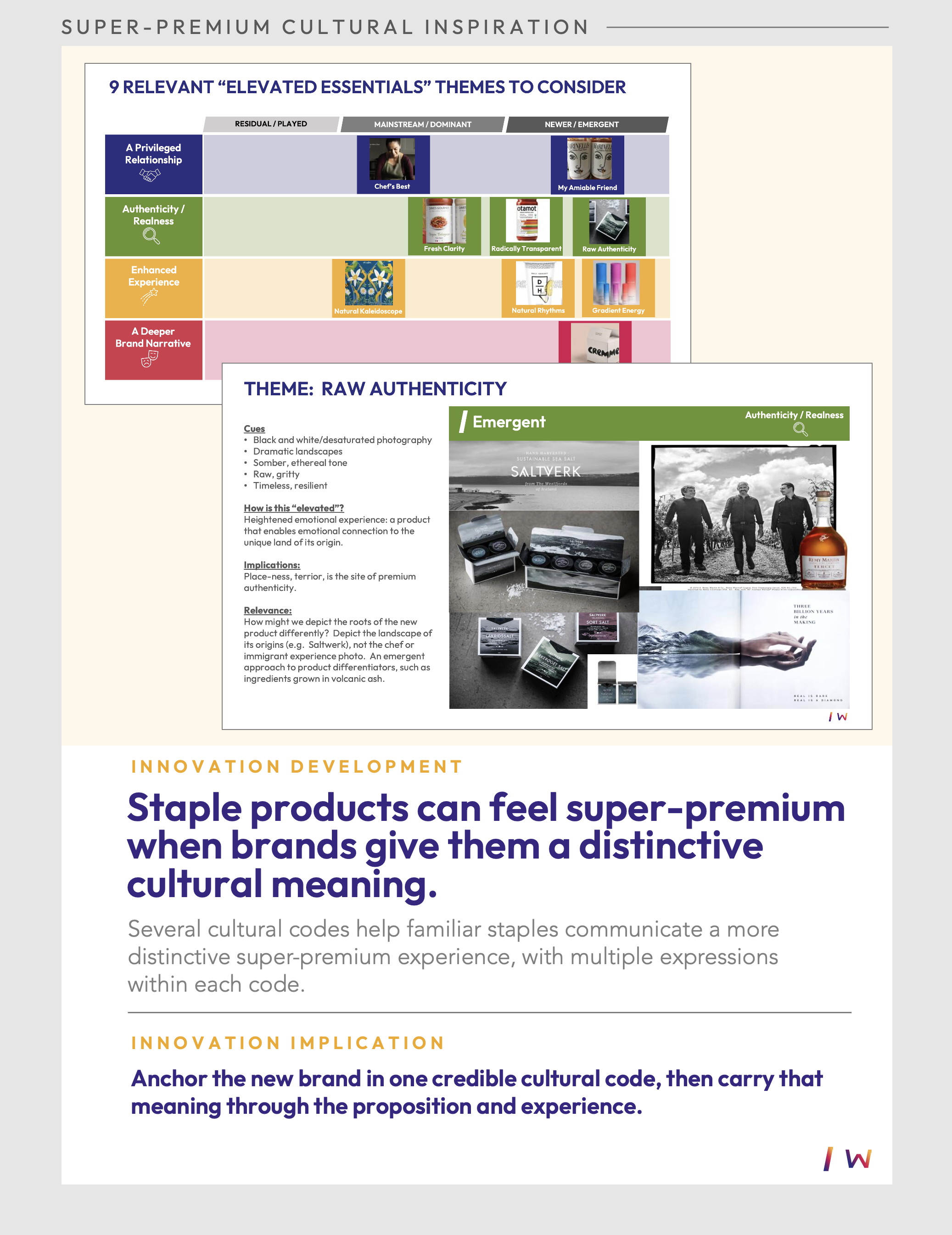 Fueling Innovation Exhibit:  Cultural insight framework mapping elevated essentials themes and the raw authenticity territory for a super-premium food brand.