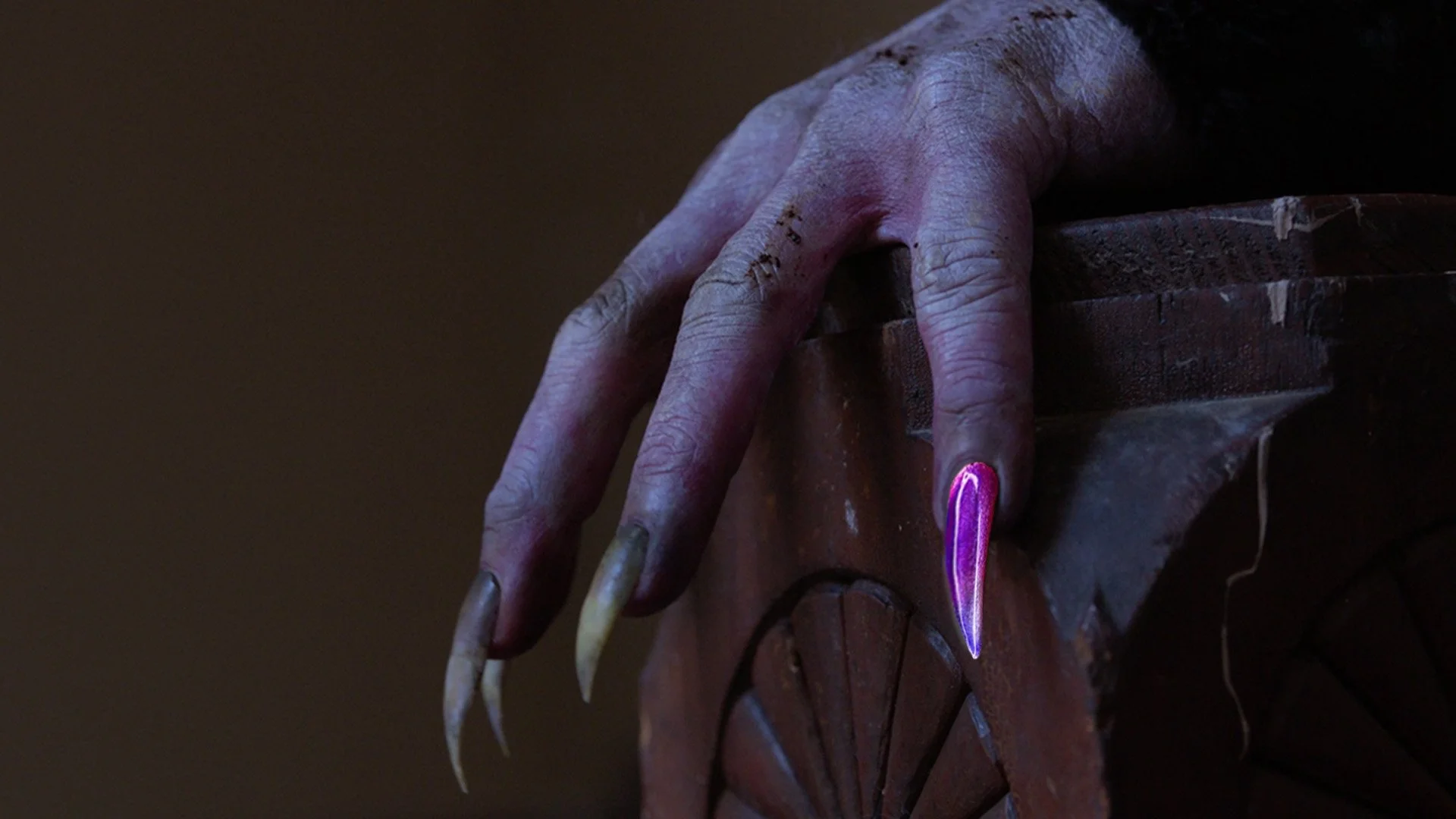 PTFF Begins Tomorrow! | Screening Added By Demand: Local Shorts!