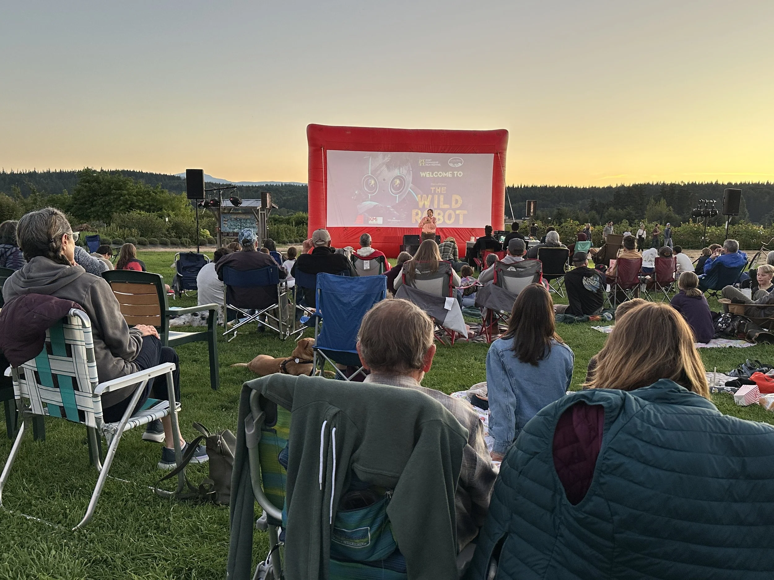 Audience watching outdoor movie screening on a large inflatable screen in a park at sunset with mountains and trees in the background.