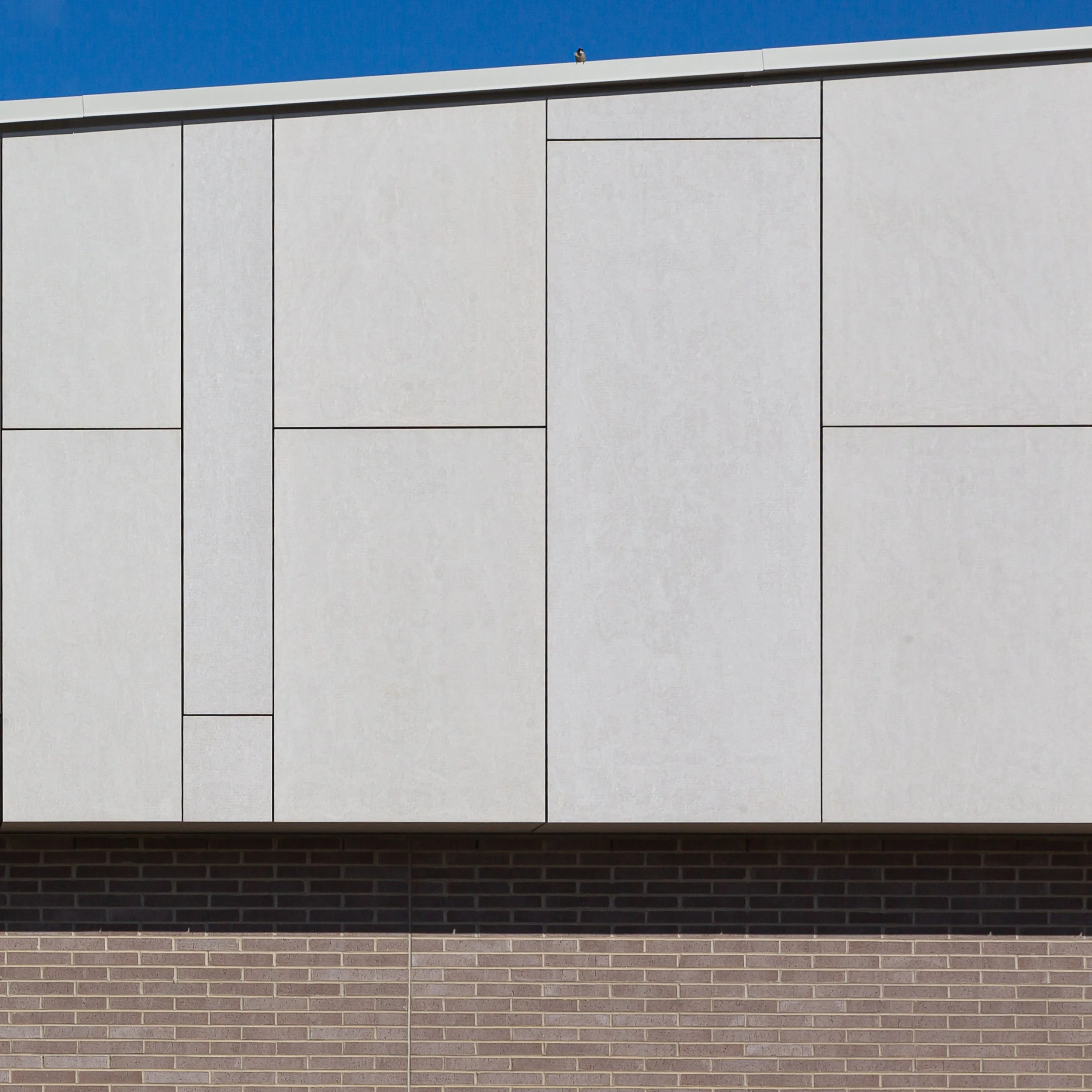 20260313 CCPL Master9.jpg