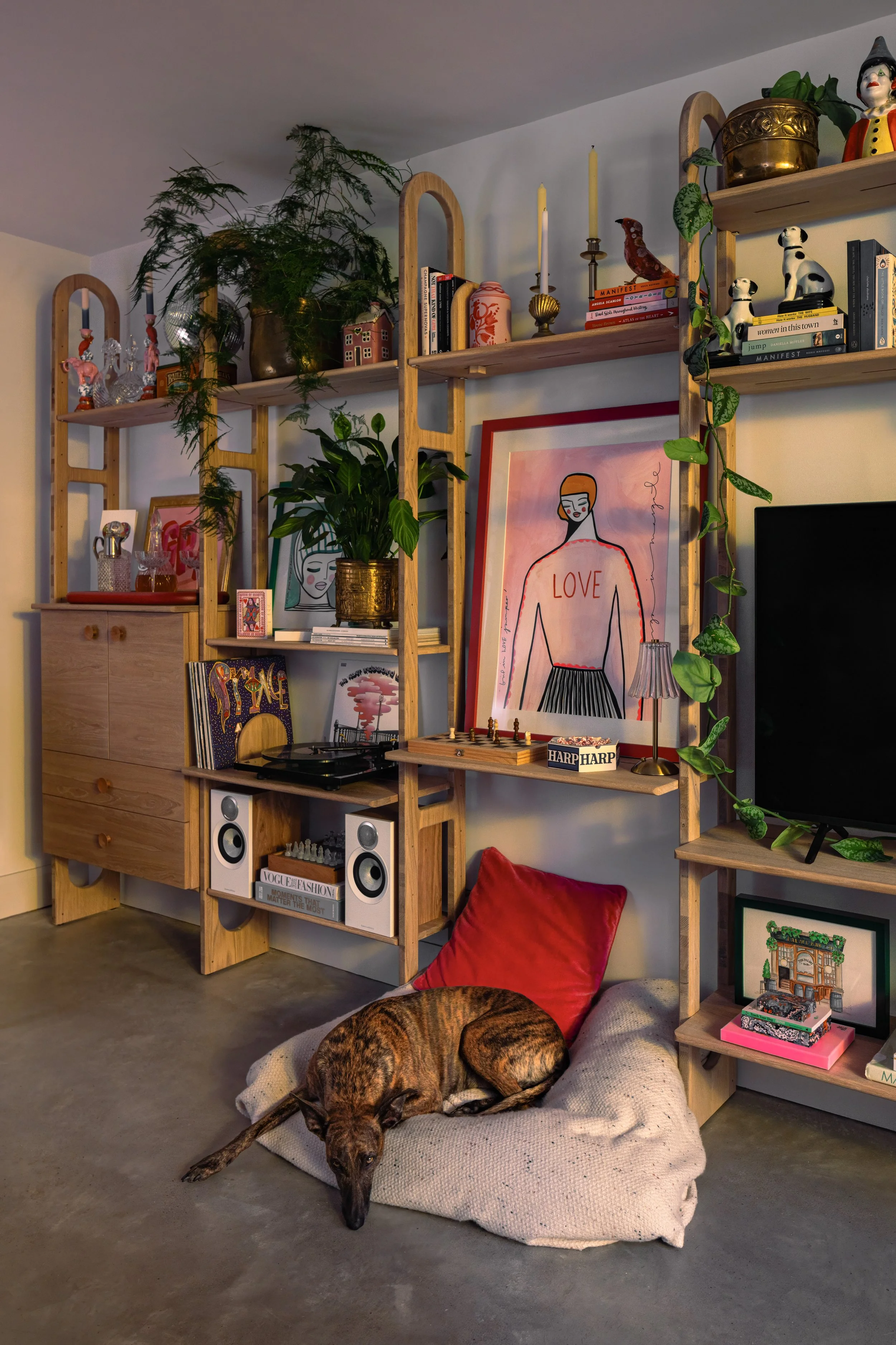 Ponc-Shelving 2-22.jpg