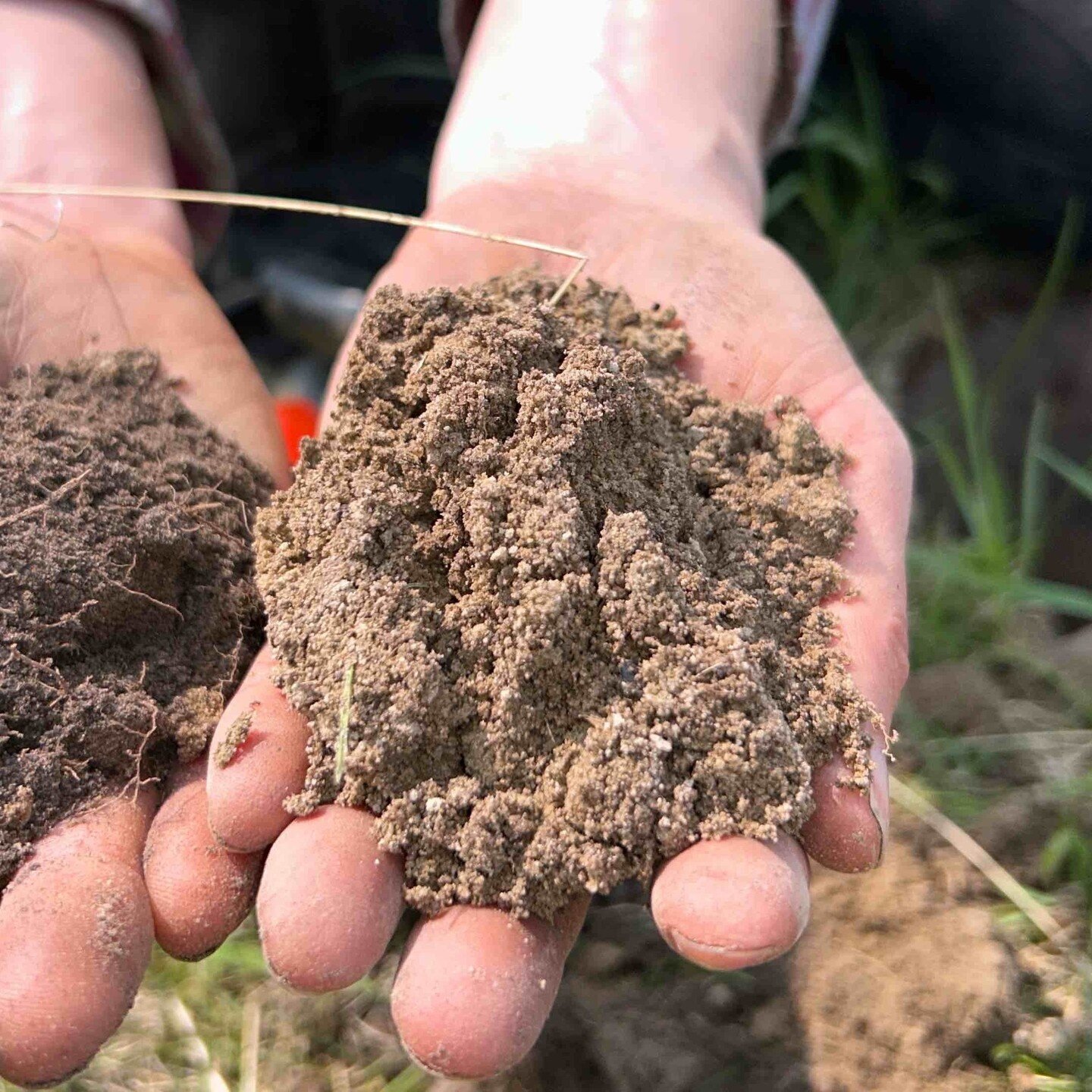 Happy World Soil Day on December 5th! 
Basin Environmental&rsquo;s featured soil of the year is the Mundare soil series! The Mundare soil series is an Orthic Black Chernozem that Basin classified and mapped for an oil and gas client in east-central A