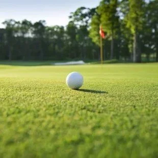 2026 NRAAO CONF Golf Outing (card payment) $135.00