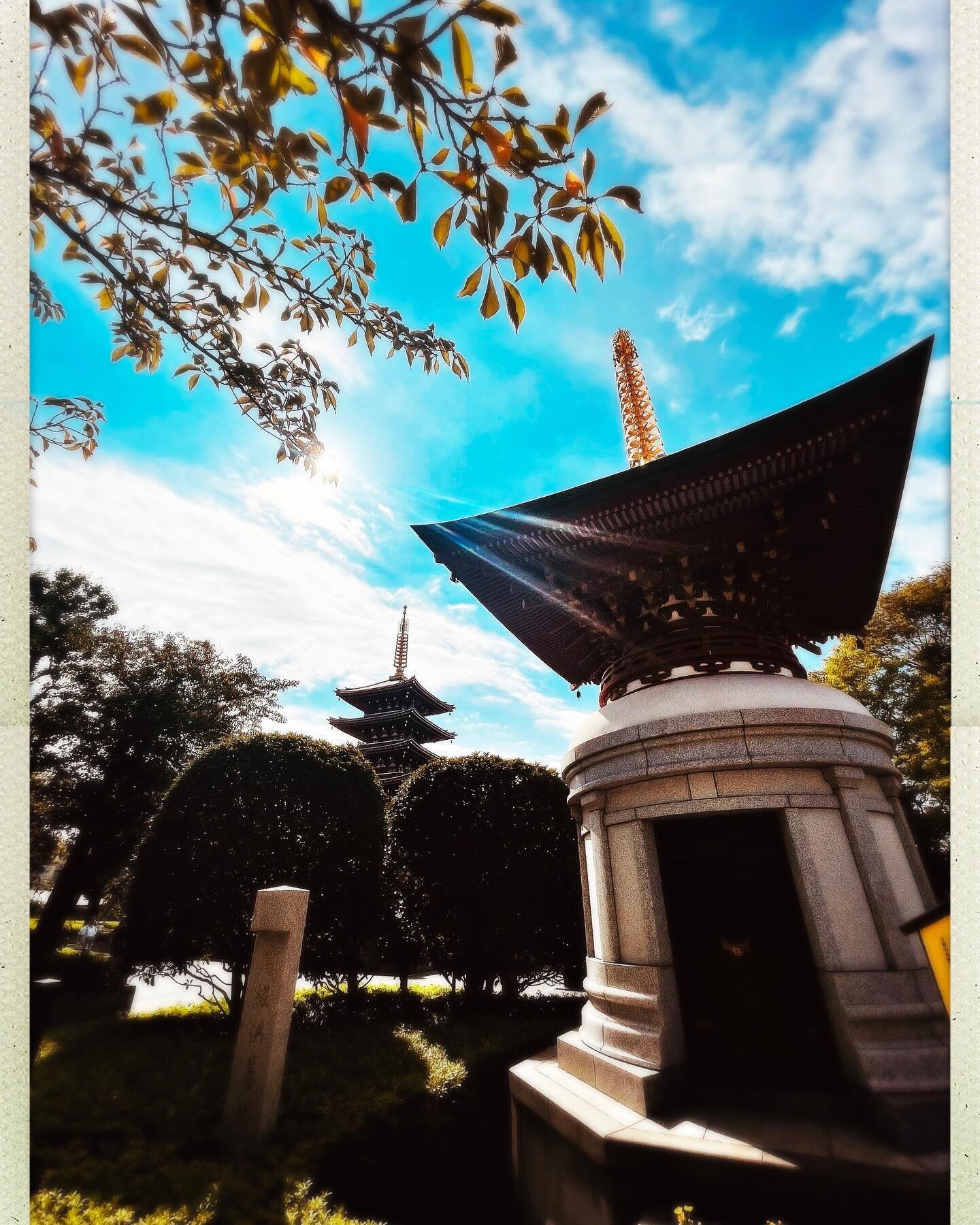 Lost in the enchanting blend of ancient and modern in Japan&hellip; every corner tells a story through stunning architecture and captivating sculptures ✨💫
Photo Credit: Senior Designer&amp; Project Manager - Sascha Lale

#chelseacourtdesigns