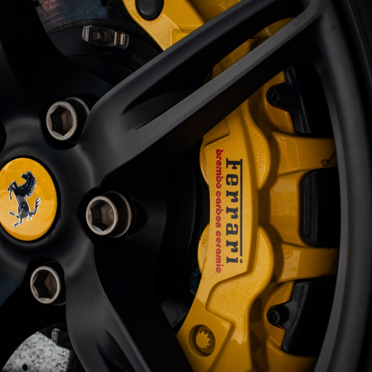 David Szymanski - photogragphy