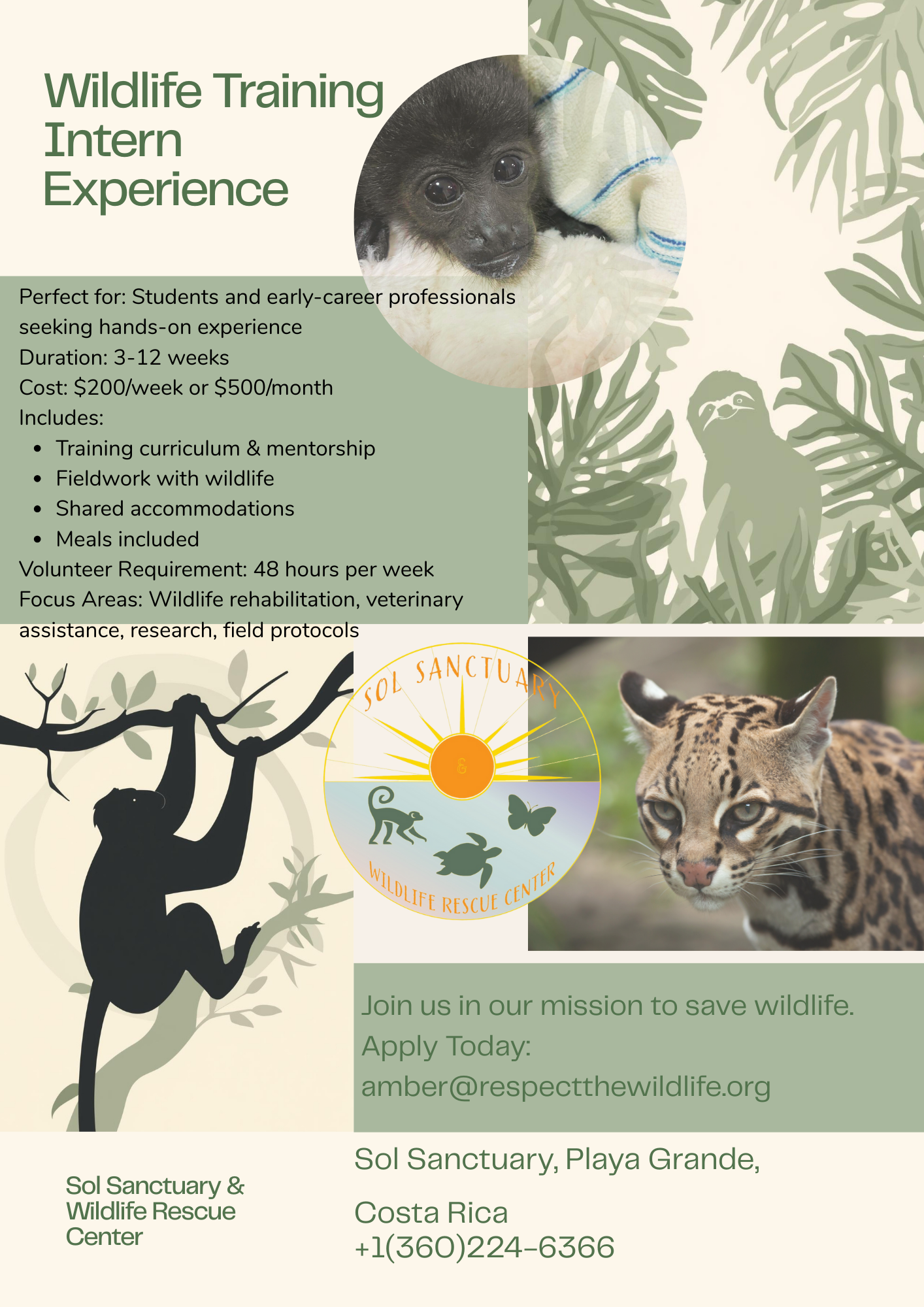 Long Term  Volunteer Experience