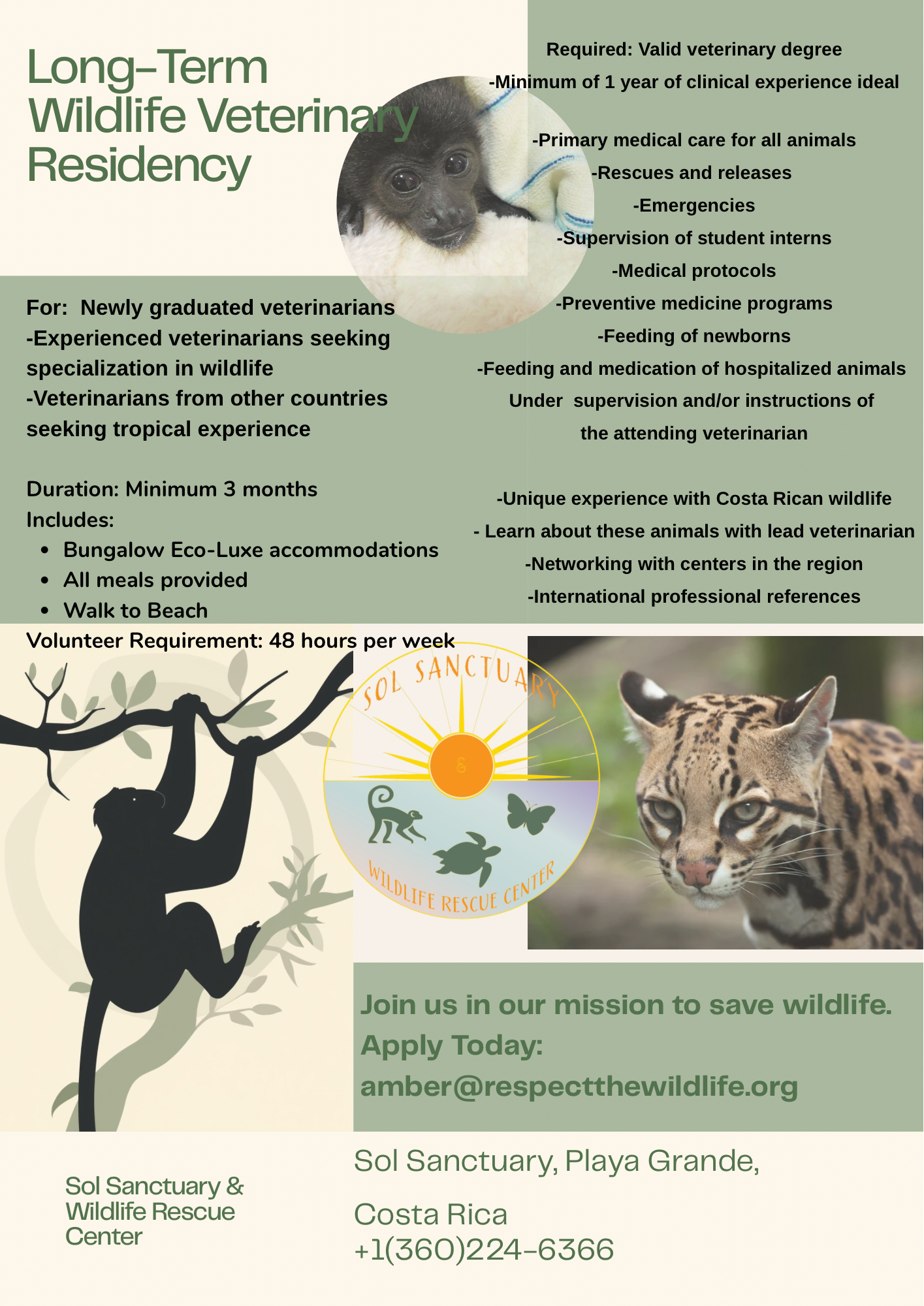 Long Term Veterinary Residency