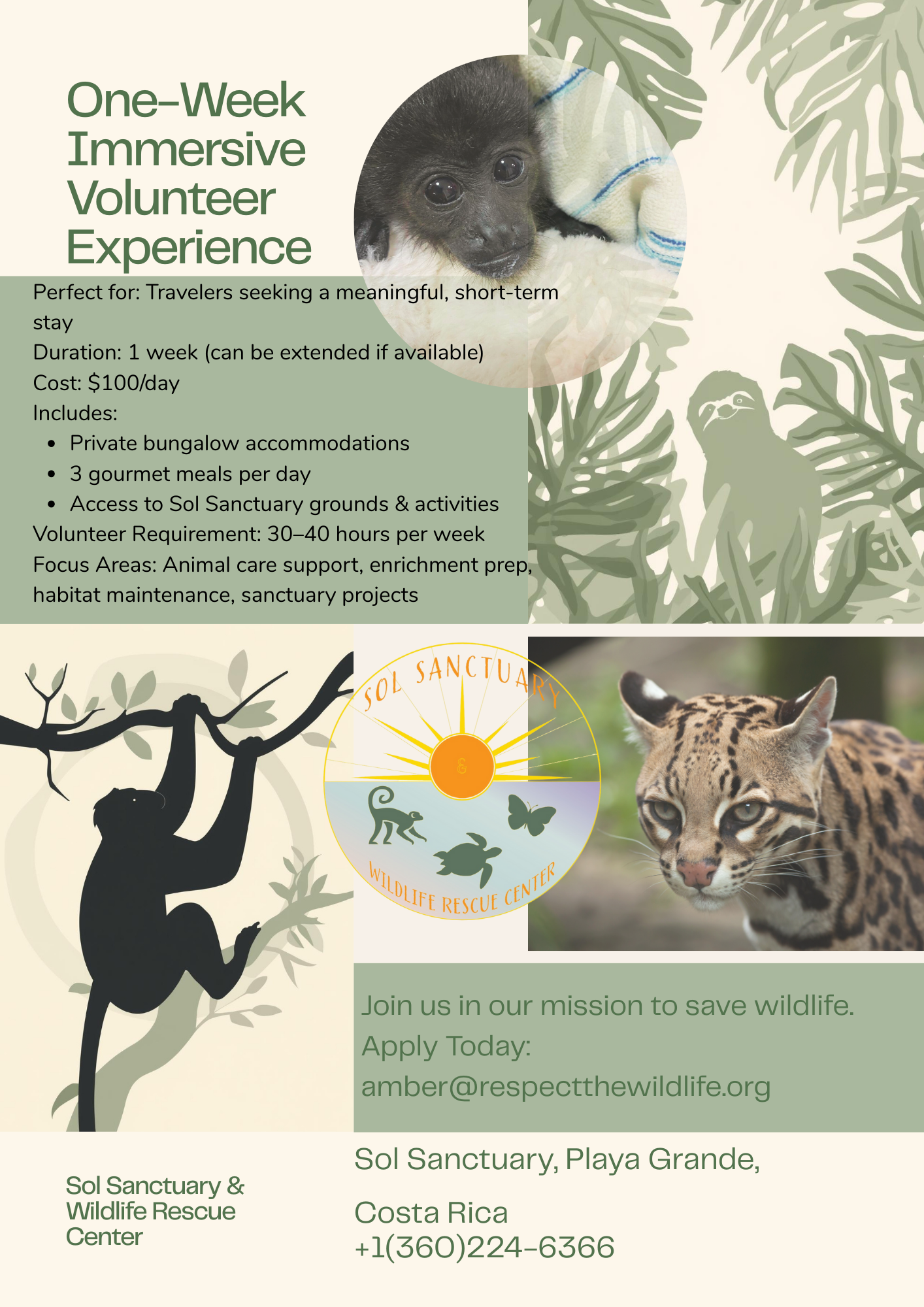 One Week Immersive Volunteer Experience