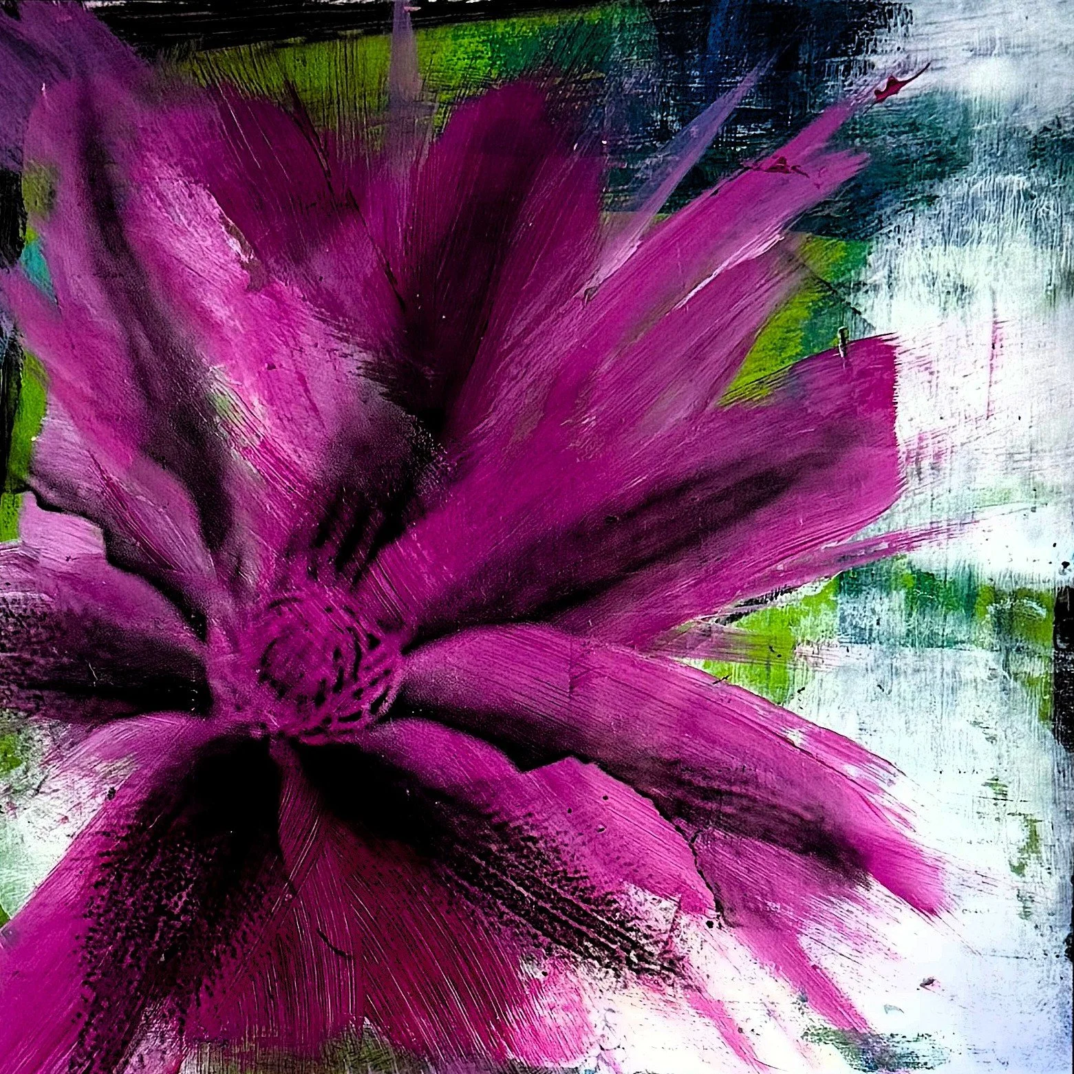Clematis