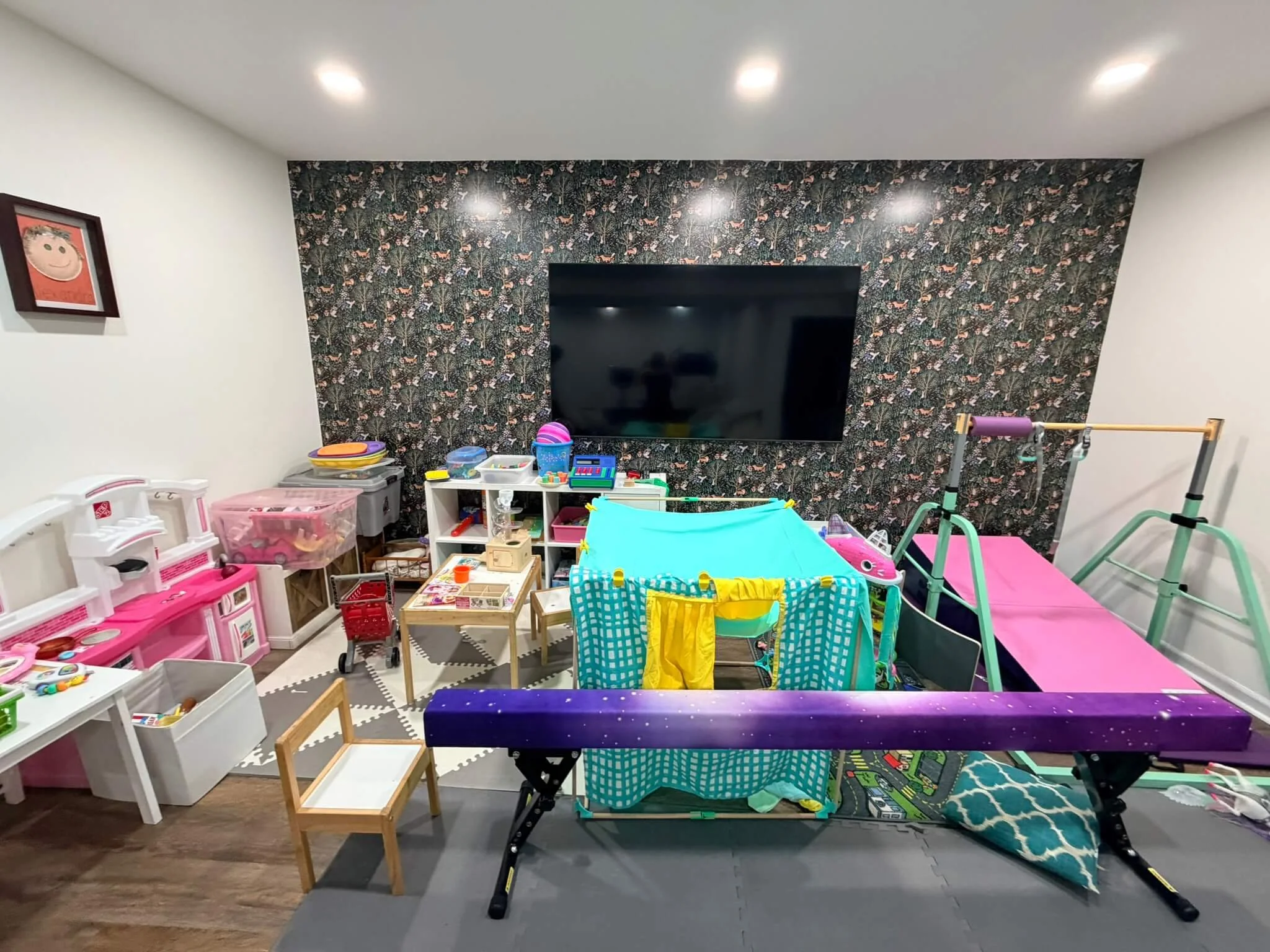 Disorganized Playroom