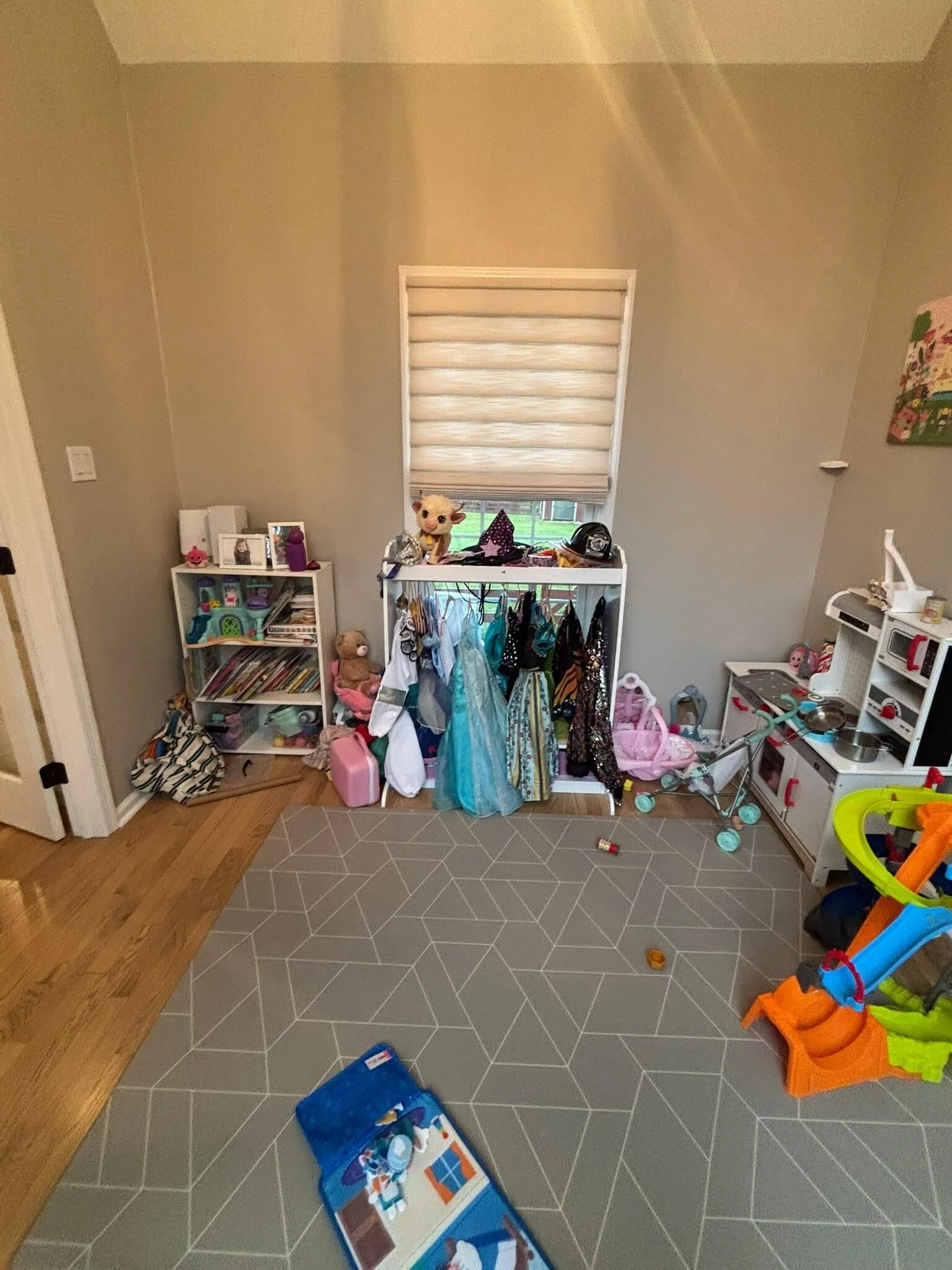 Disrganized Playroom