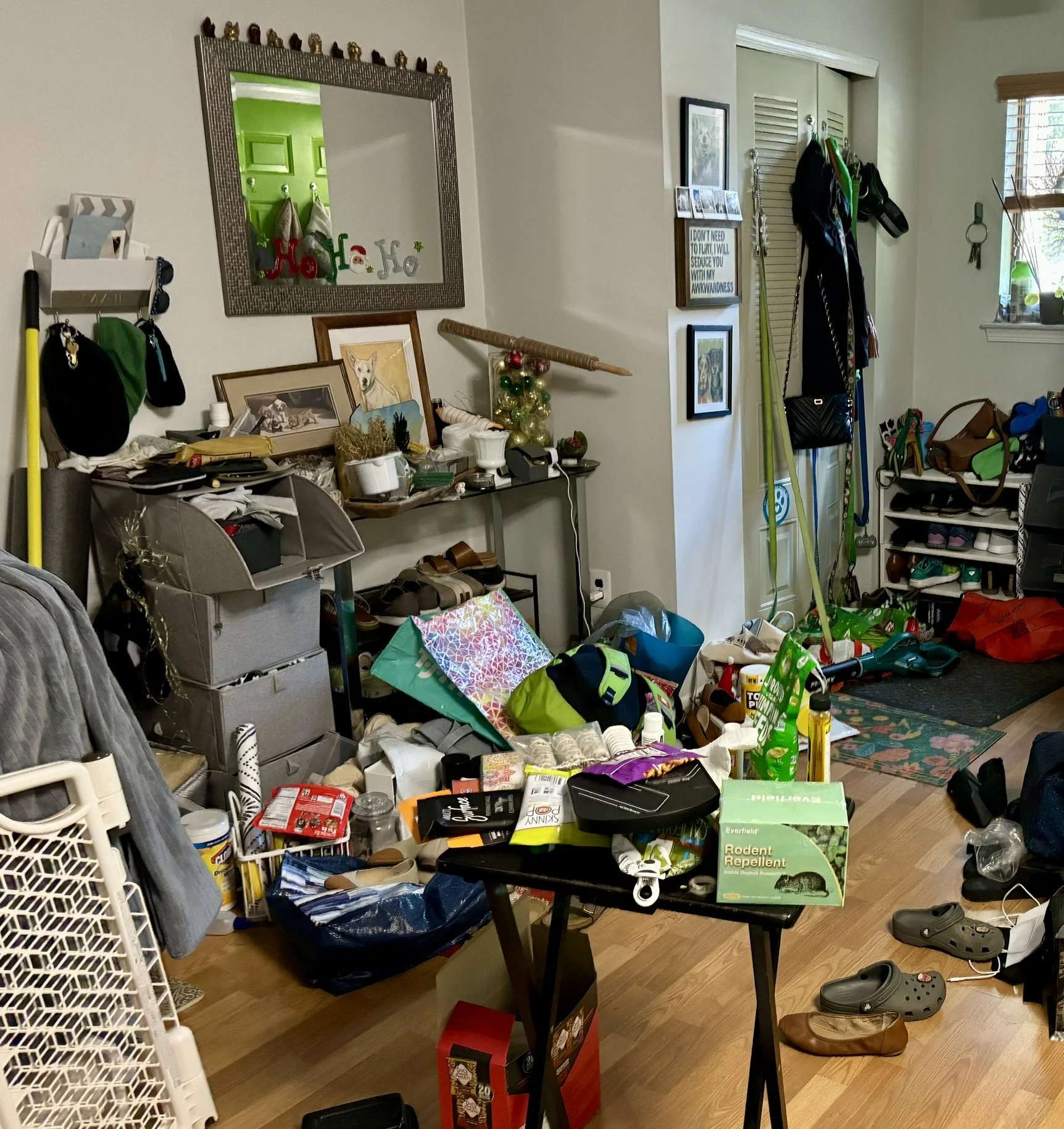 Entryway Disorganization Before (4).JPEG