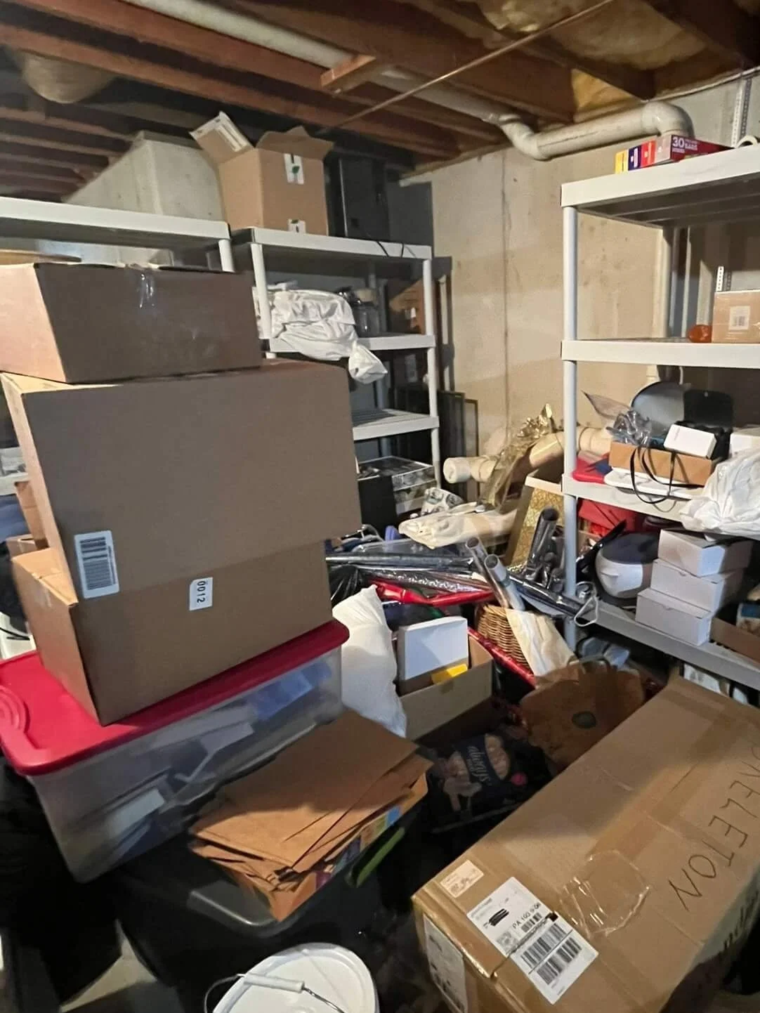 Basement Organization