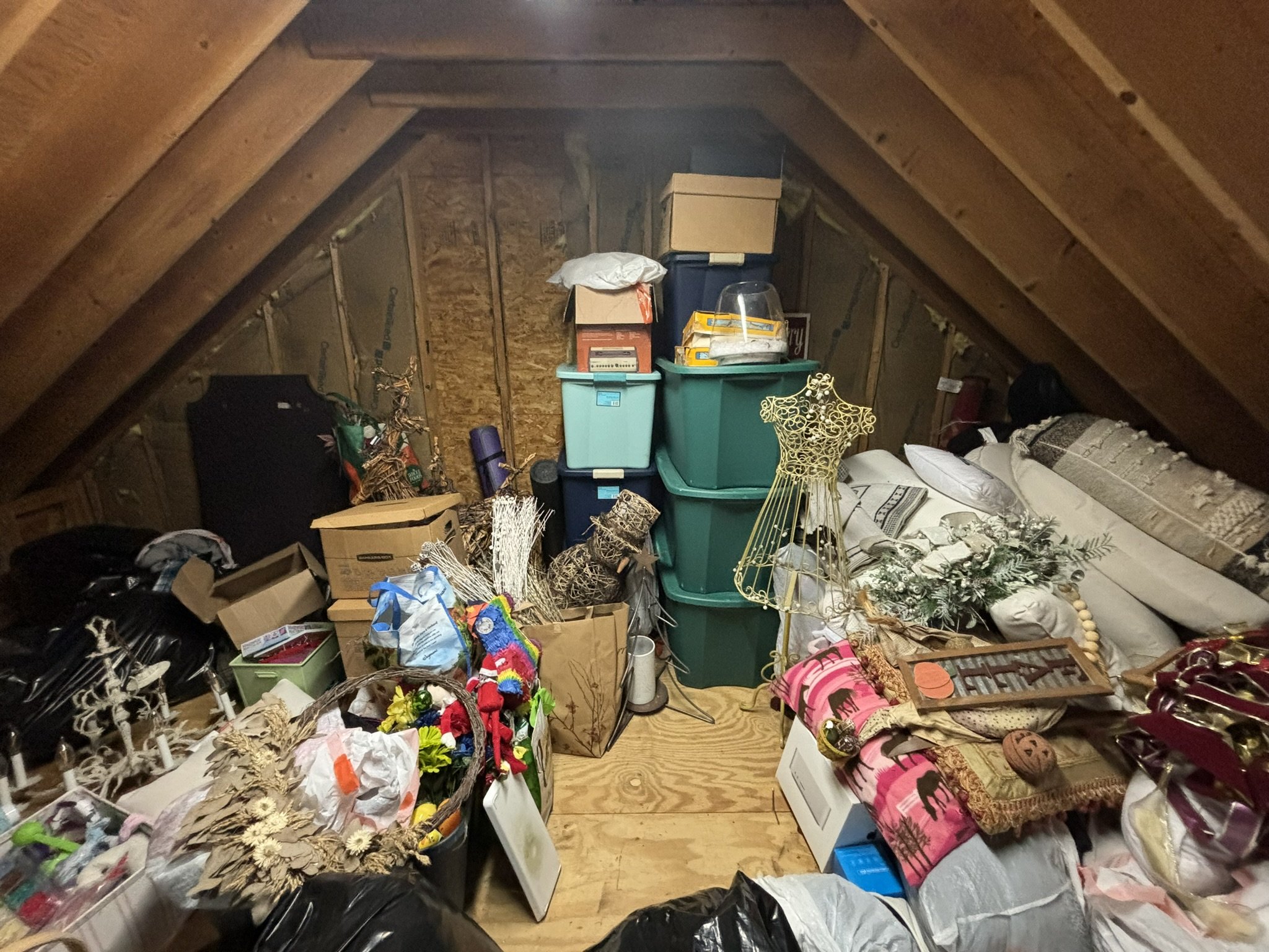Attic Before (1).JPEG