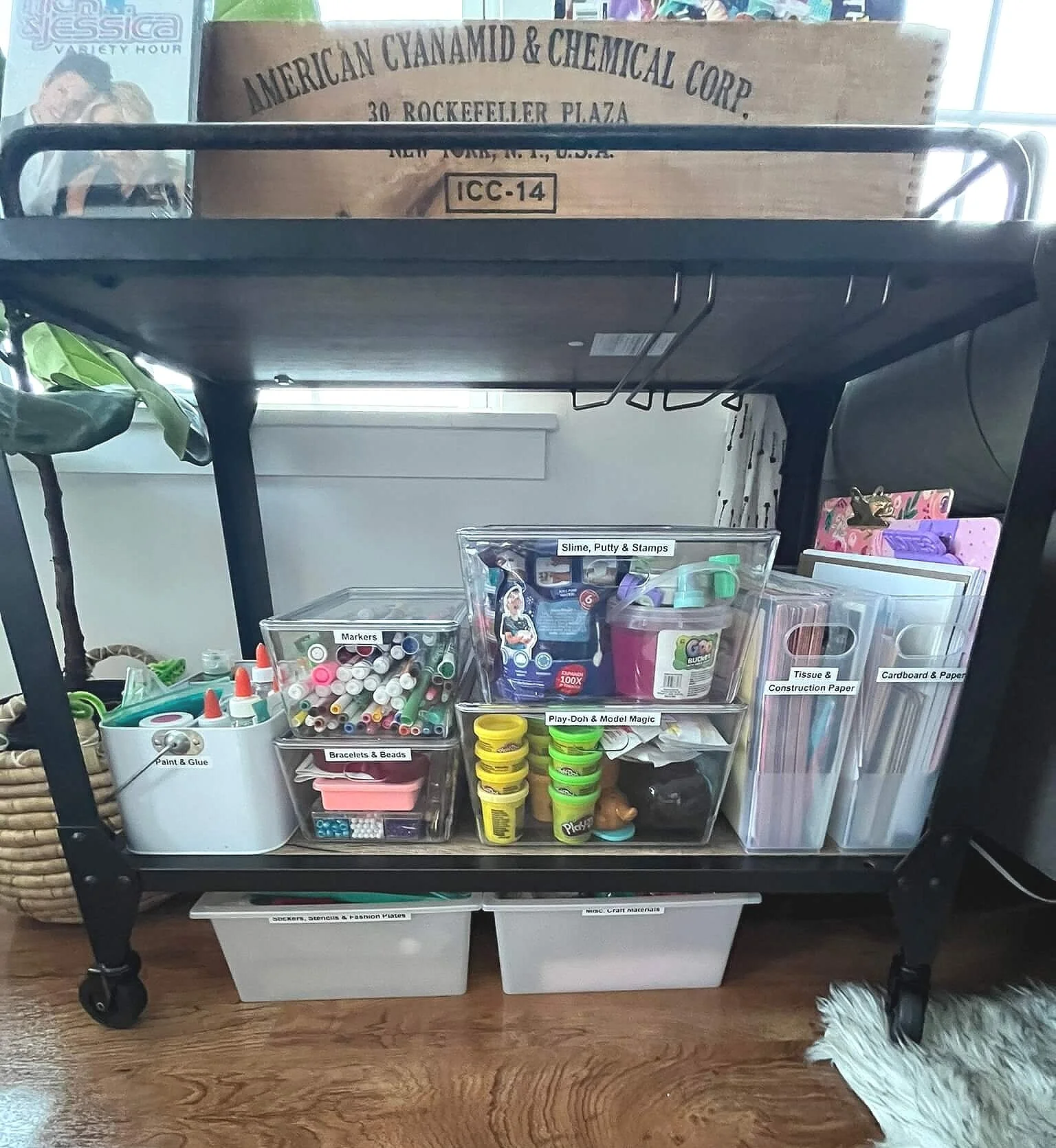 Organized Craft Area