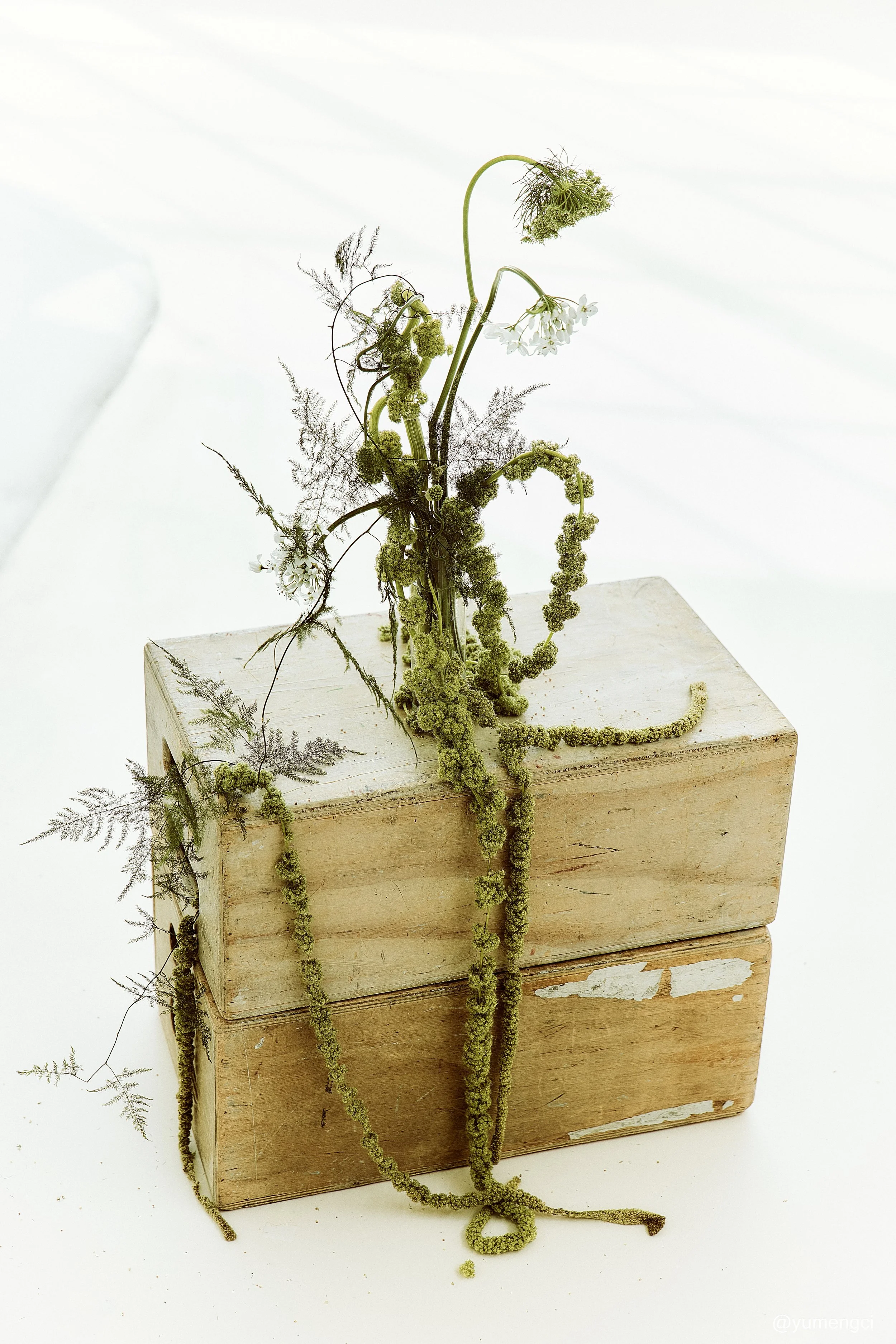 AISLING CAPMS shot by YU MENGCI_nyc based fashion photographerB18A5658.jpg