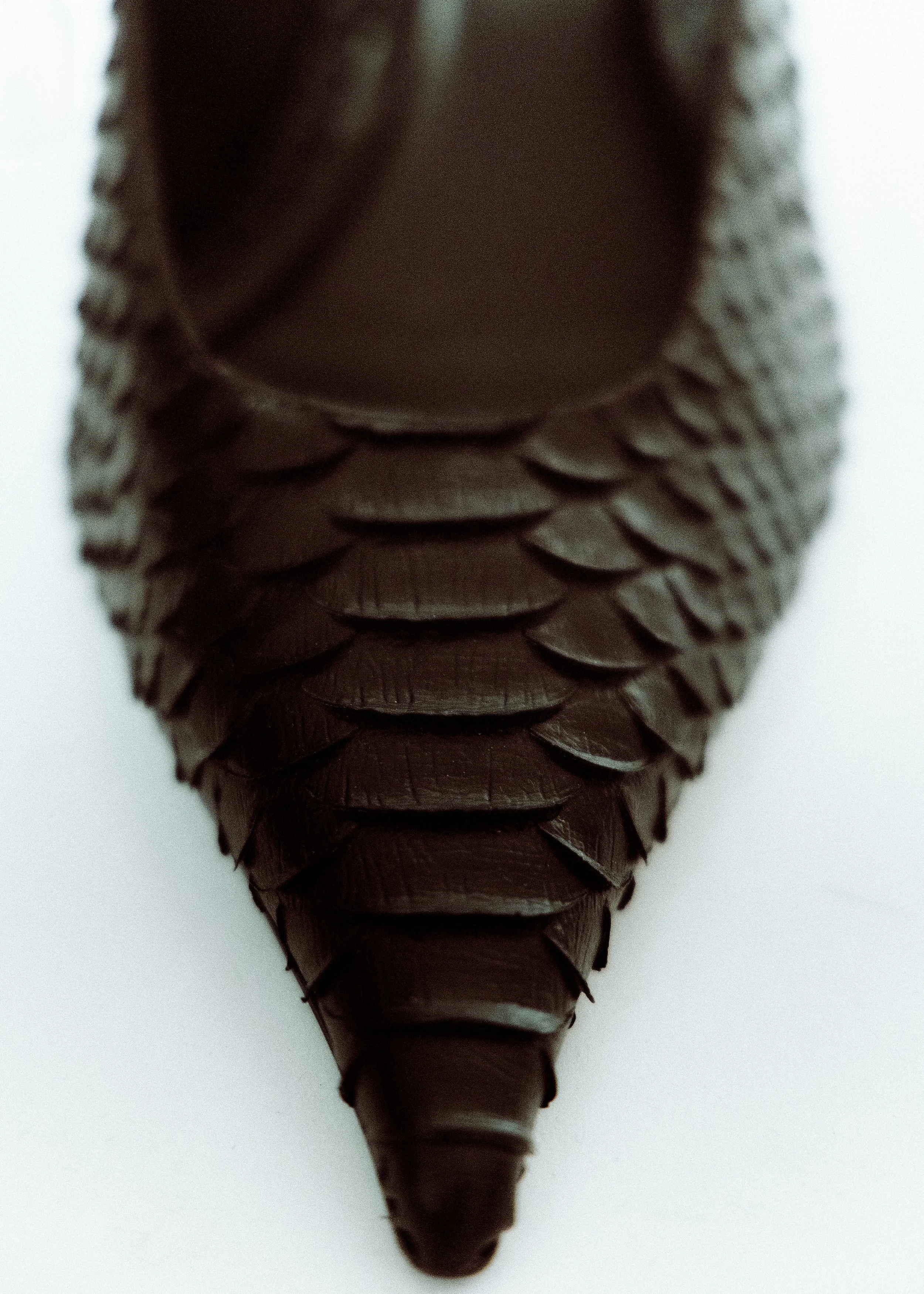 snake skin heels, details, still photo, by Yu Mengci 