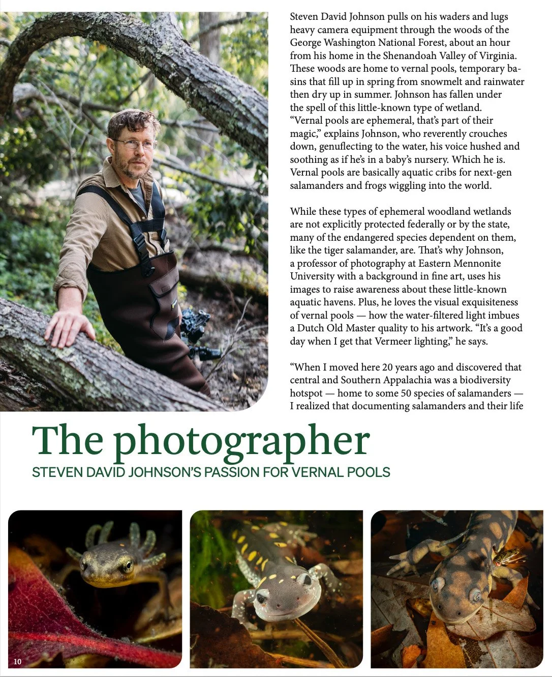 SELC Magazine - The Wonder of Wetlands