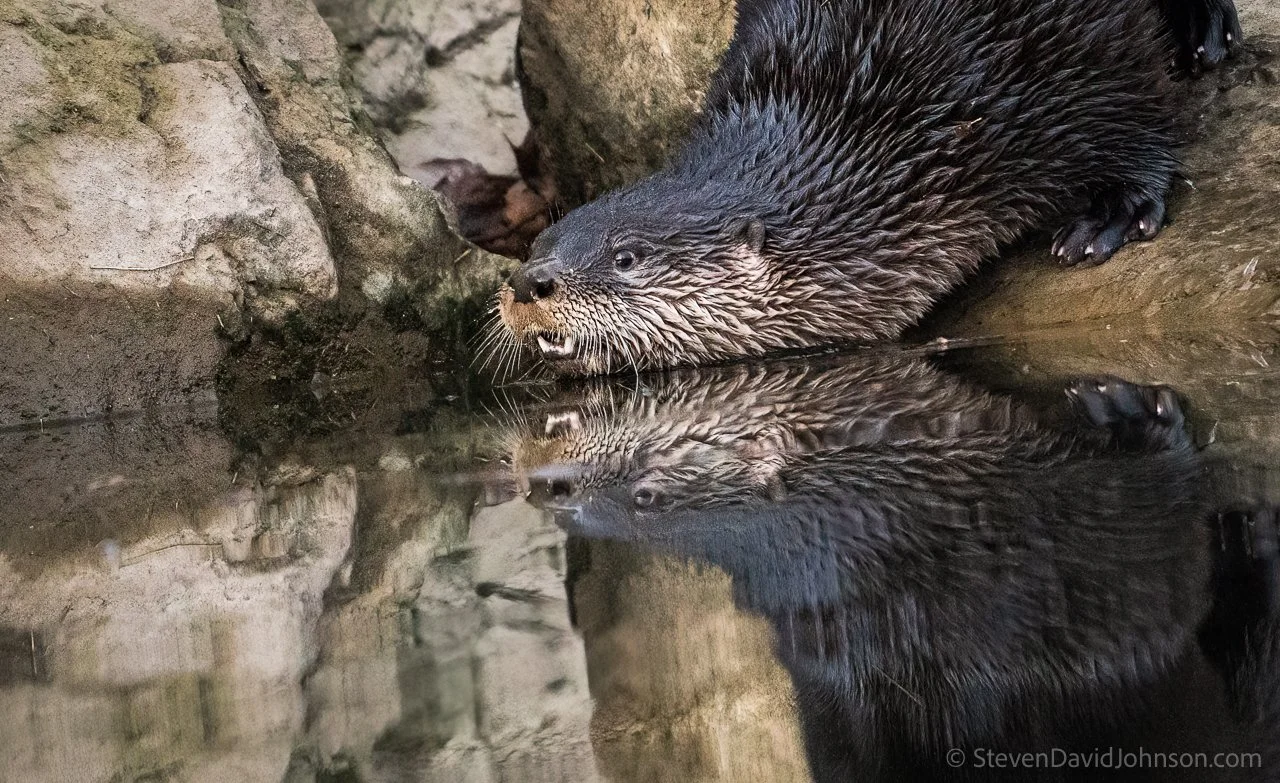 20211215-_DSC5214-A7r3-Edit.jpg
