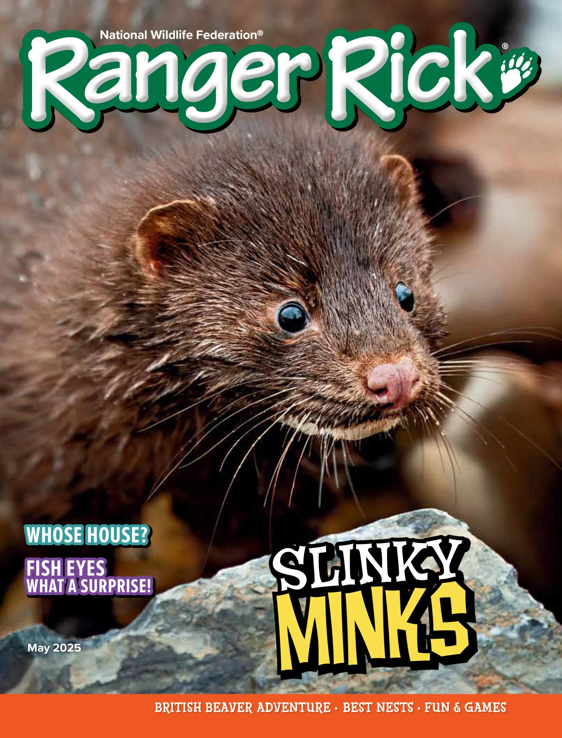 Ranger Rick Cover  - Slinky Minks